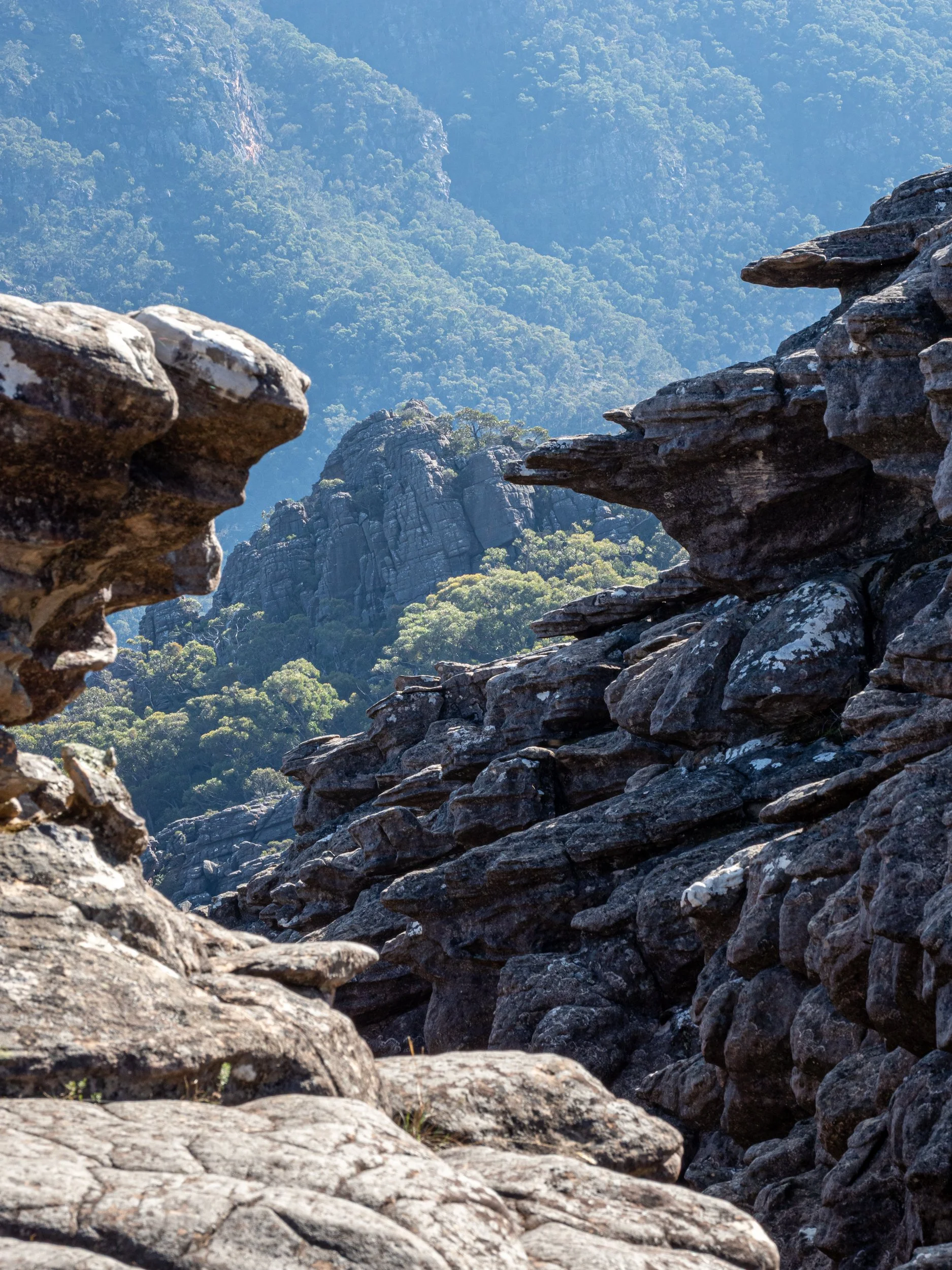 Rocky mountain landscape with large layered rock formations in the foreground and forested mountain slopes in the background.