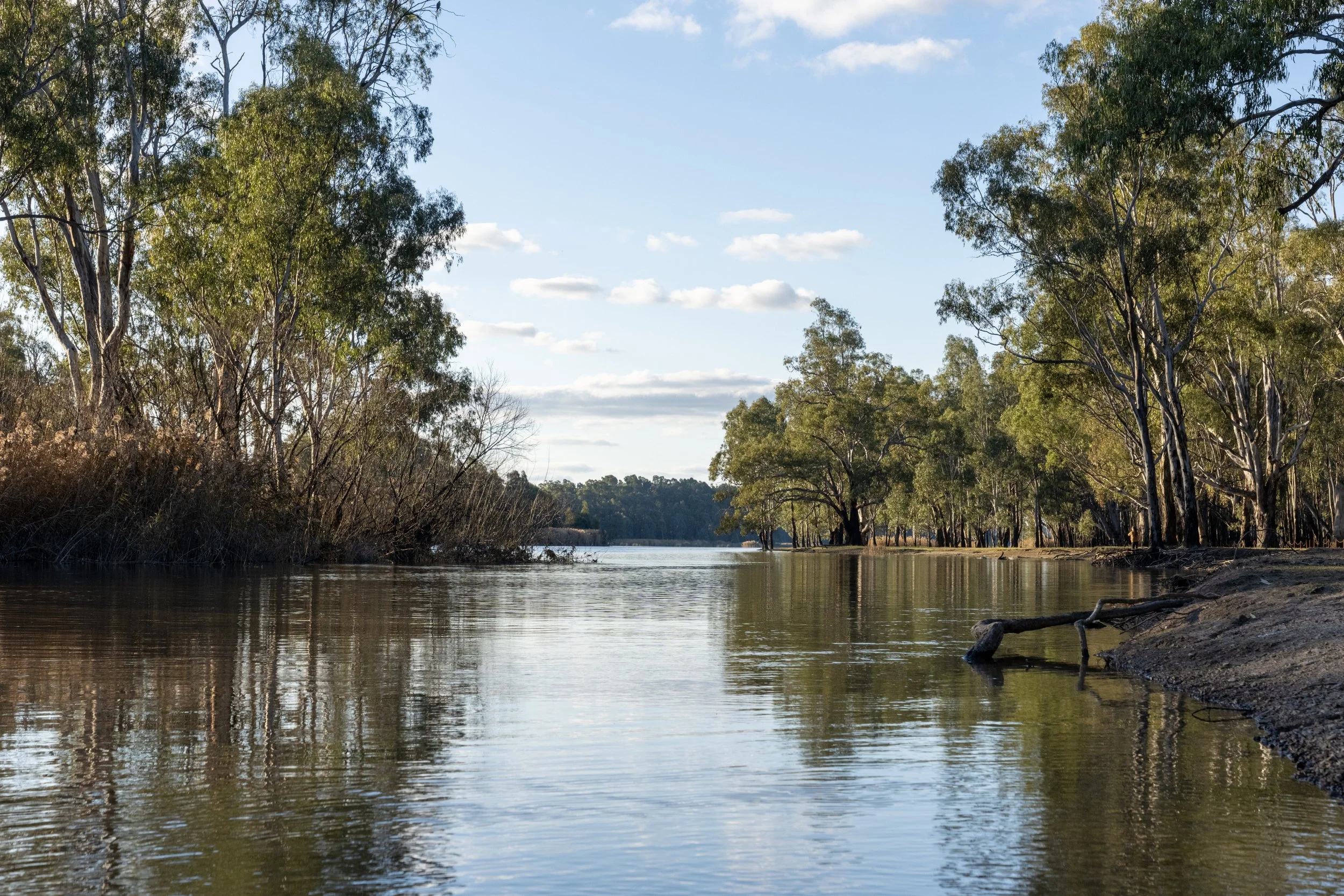 Echuca20260815-23-DSC07220.jpg