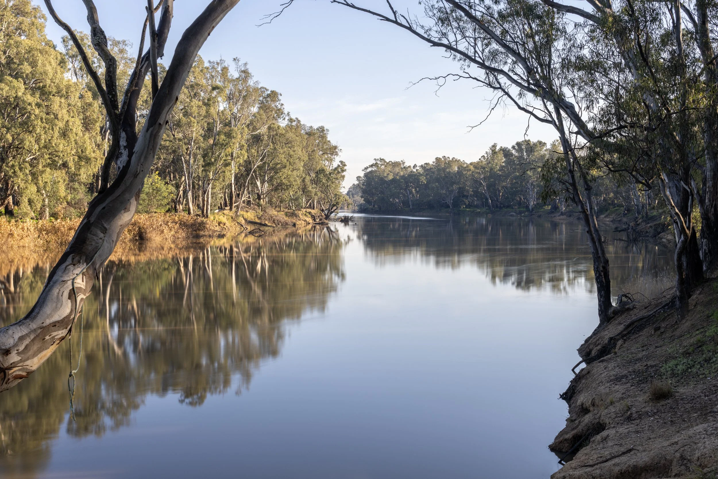 The Murray River from Emu Bend