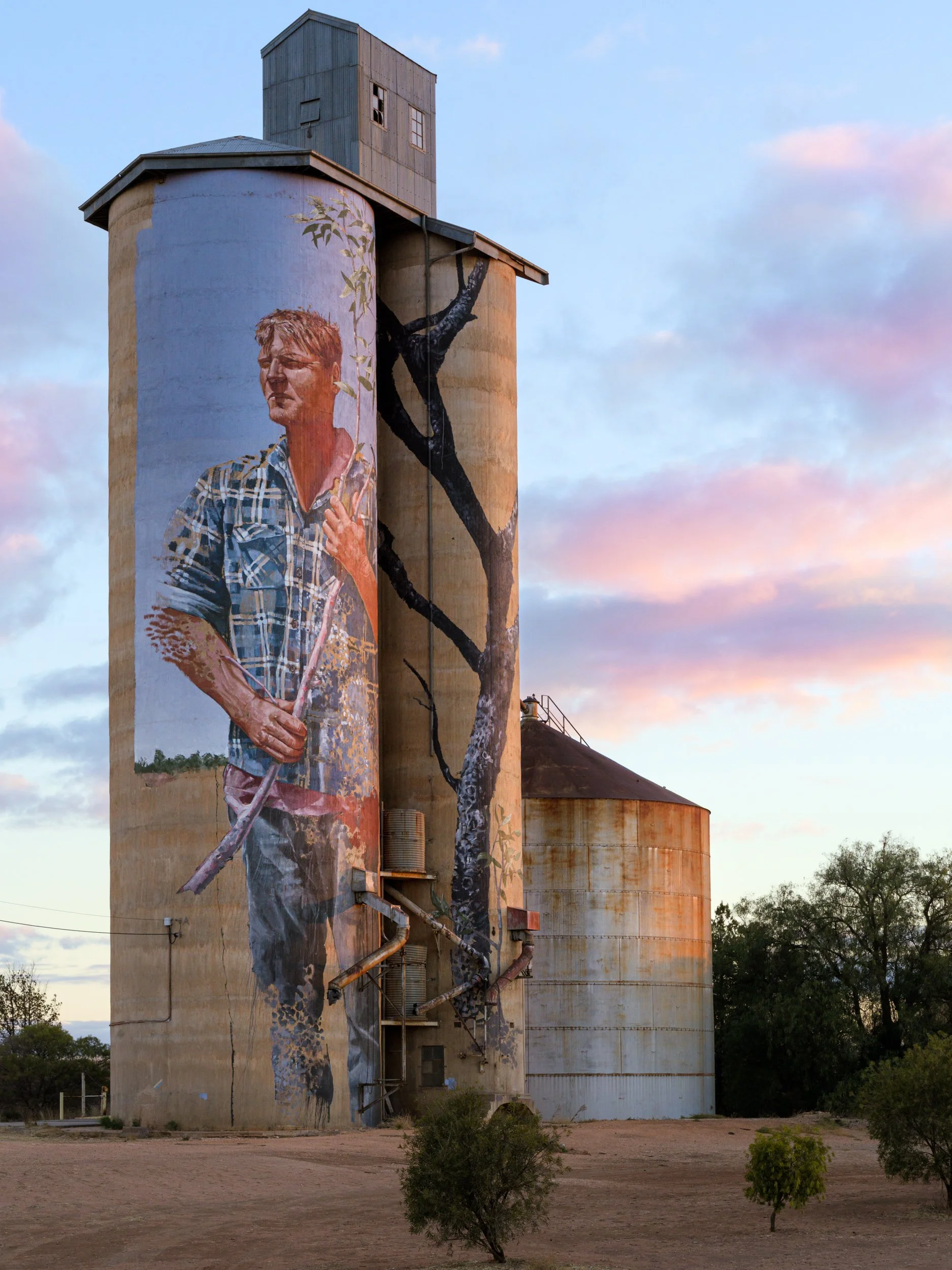 Patchewollock, Fintan Magee, 2016