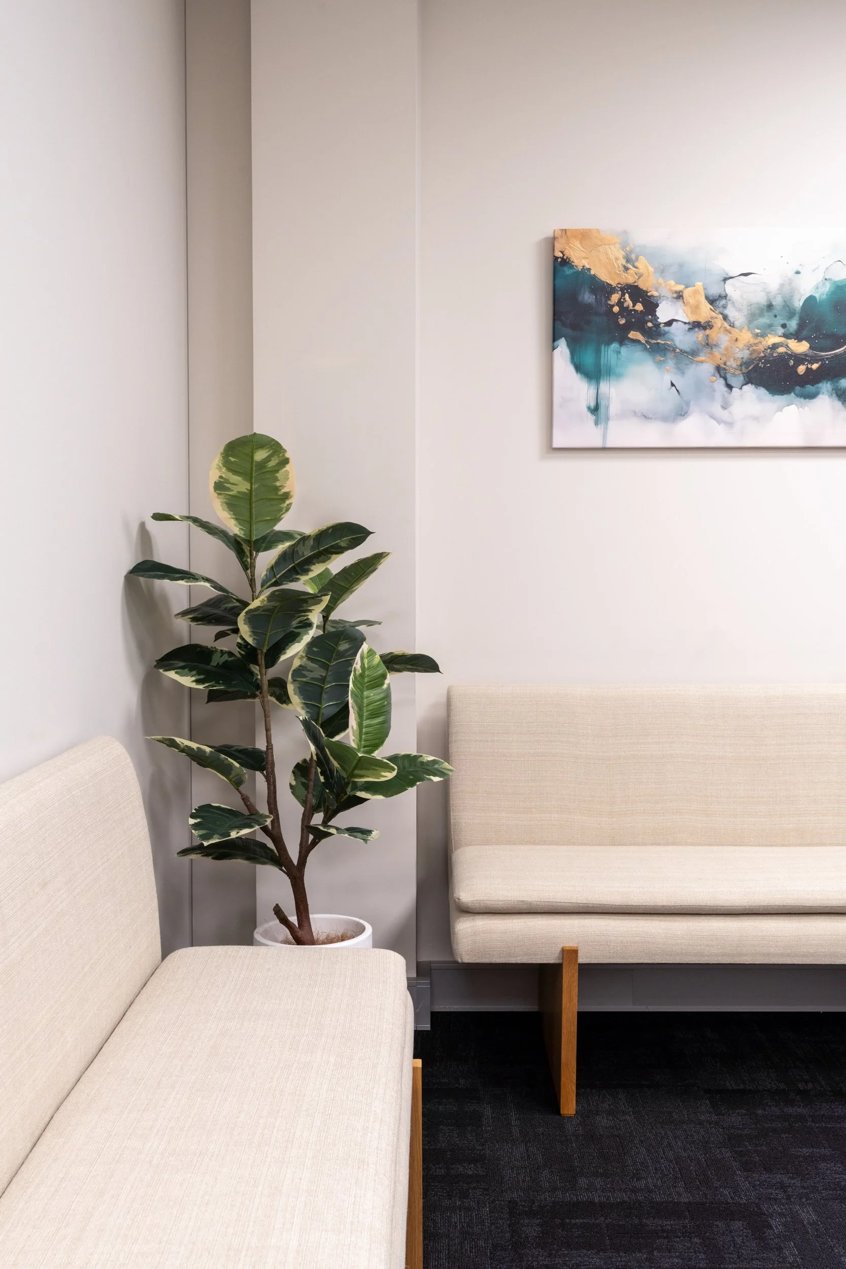  The Nest for Canopy Fitouts