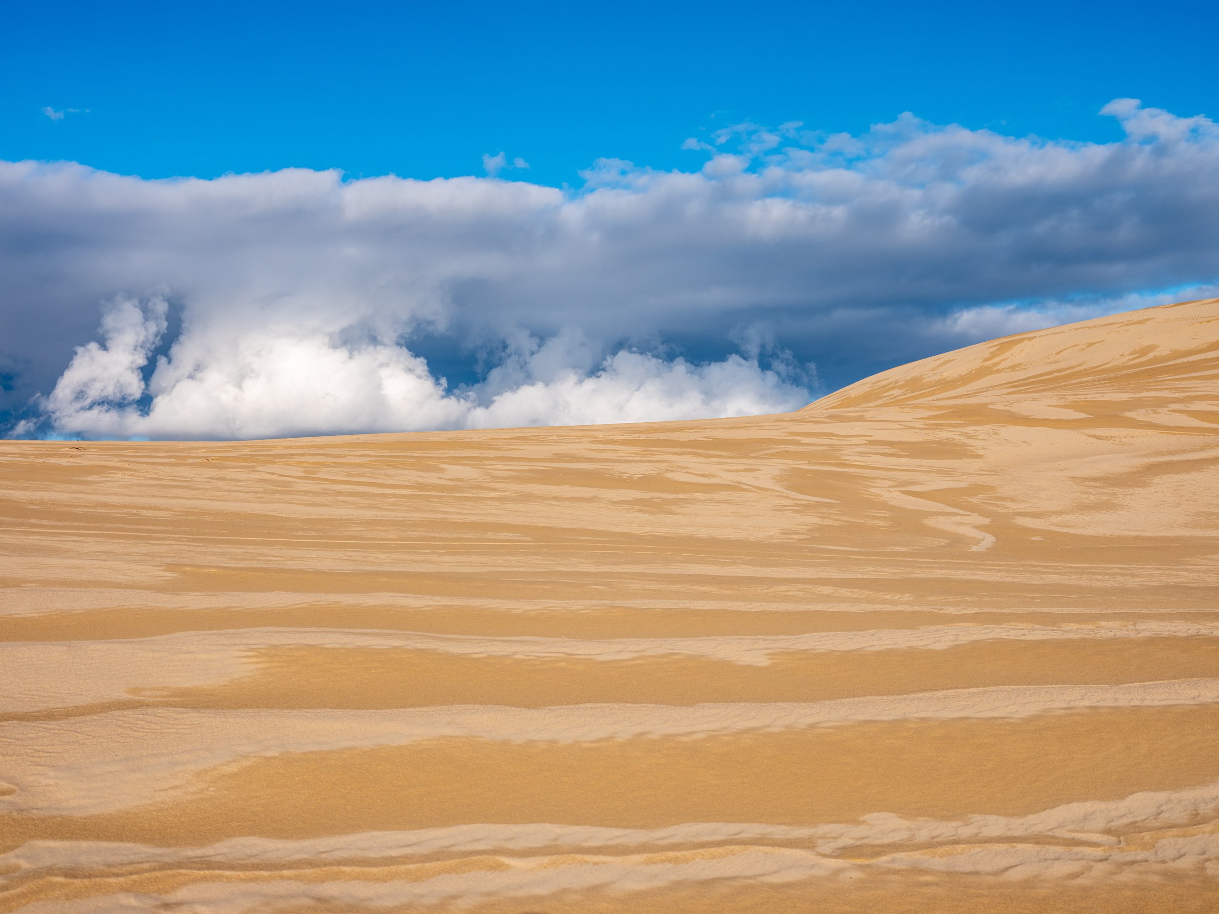 Expansive desert with golden sand dunes under a partly cloudy blue sky.