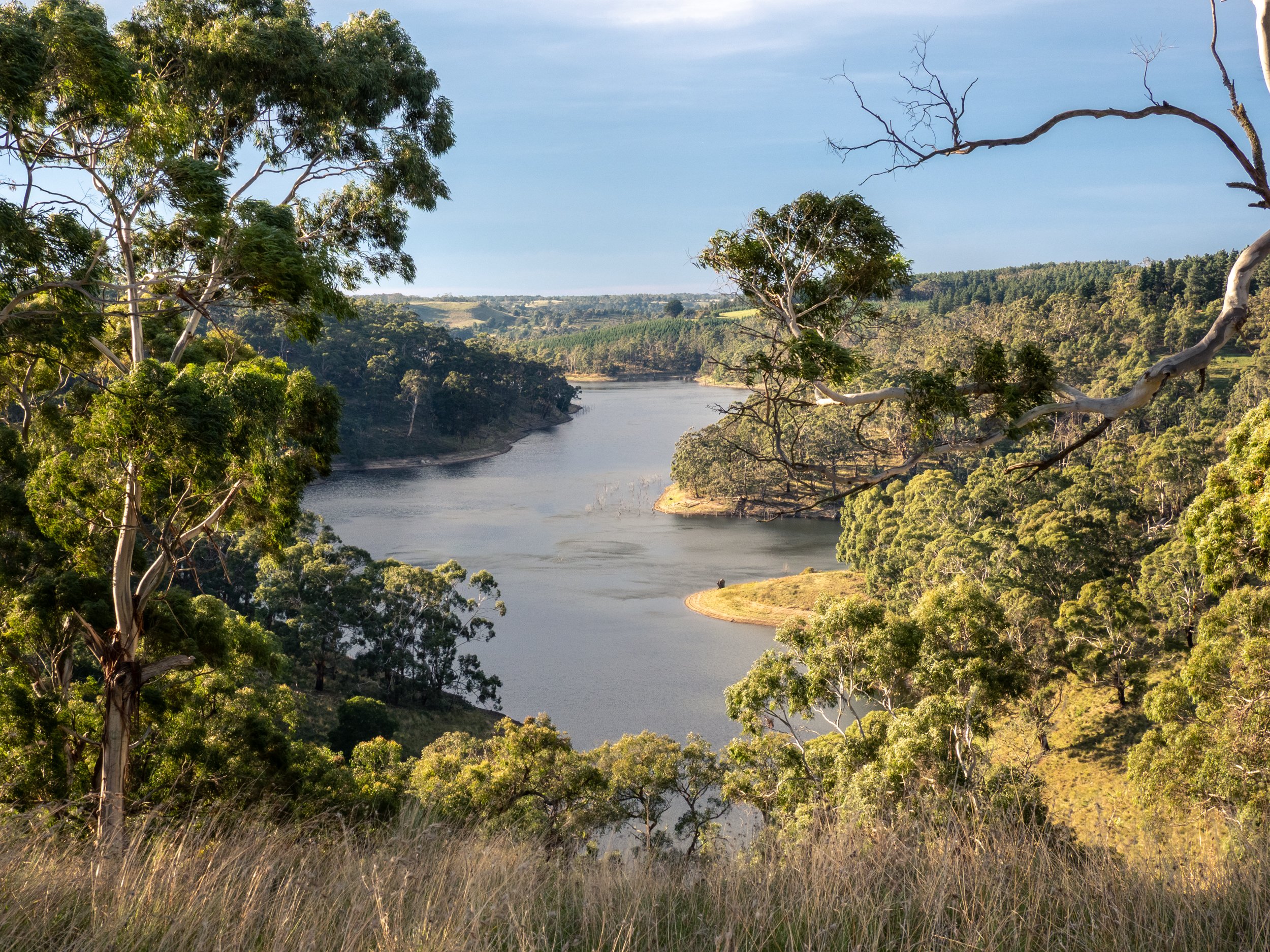 A river winding through a lush green landscape with trees on both sides, under a partly cloudy sky.