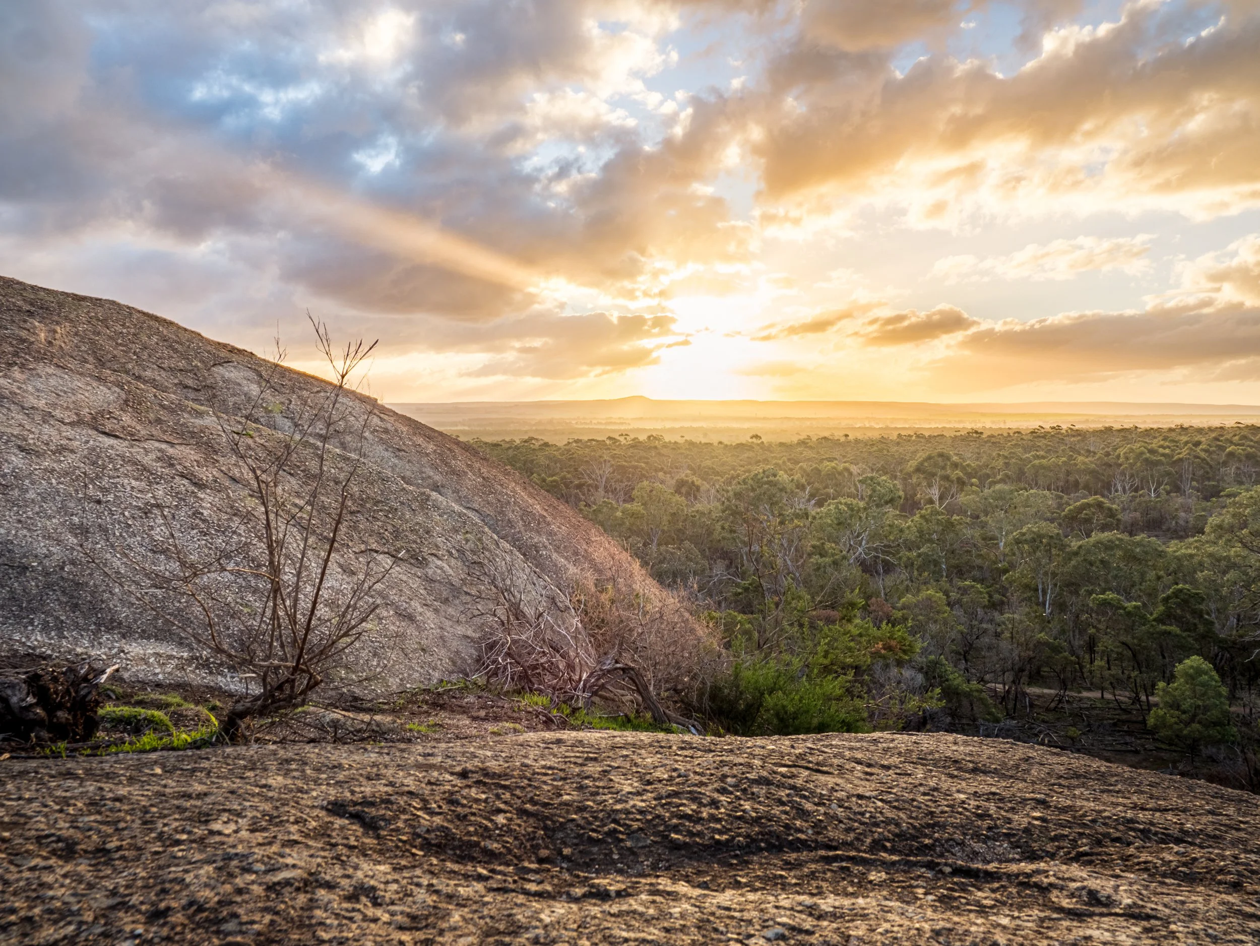 Sunset over a forest landscape with large rocks in the foreground and partly cloudy sky.