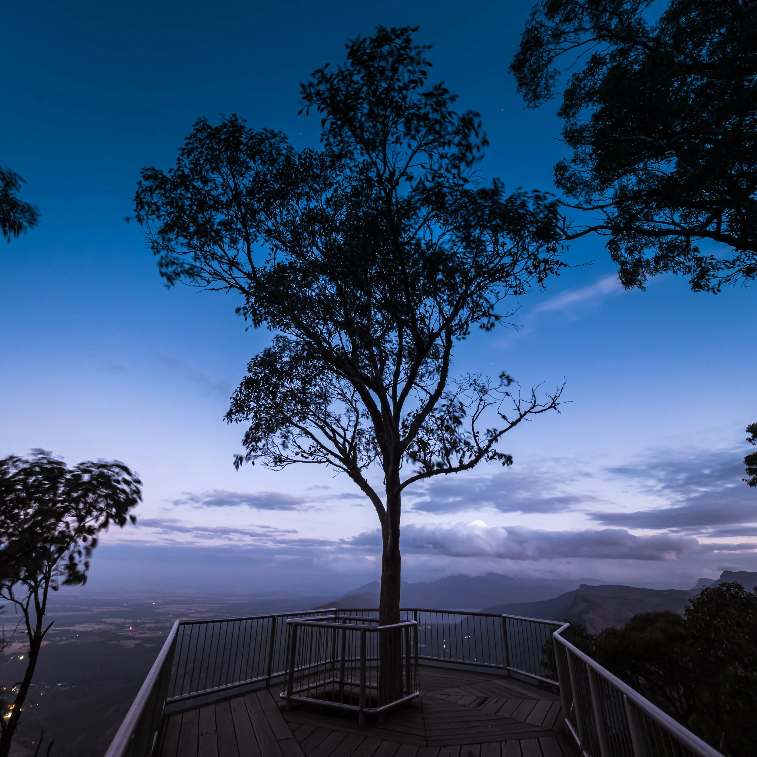 Silhouette of a tree on a viewing platform overlooking a valley during dusk with mountains and partly cloudy sky in the background