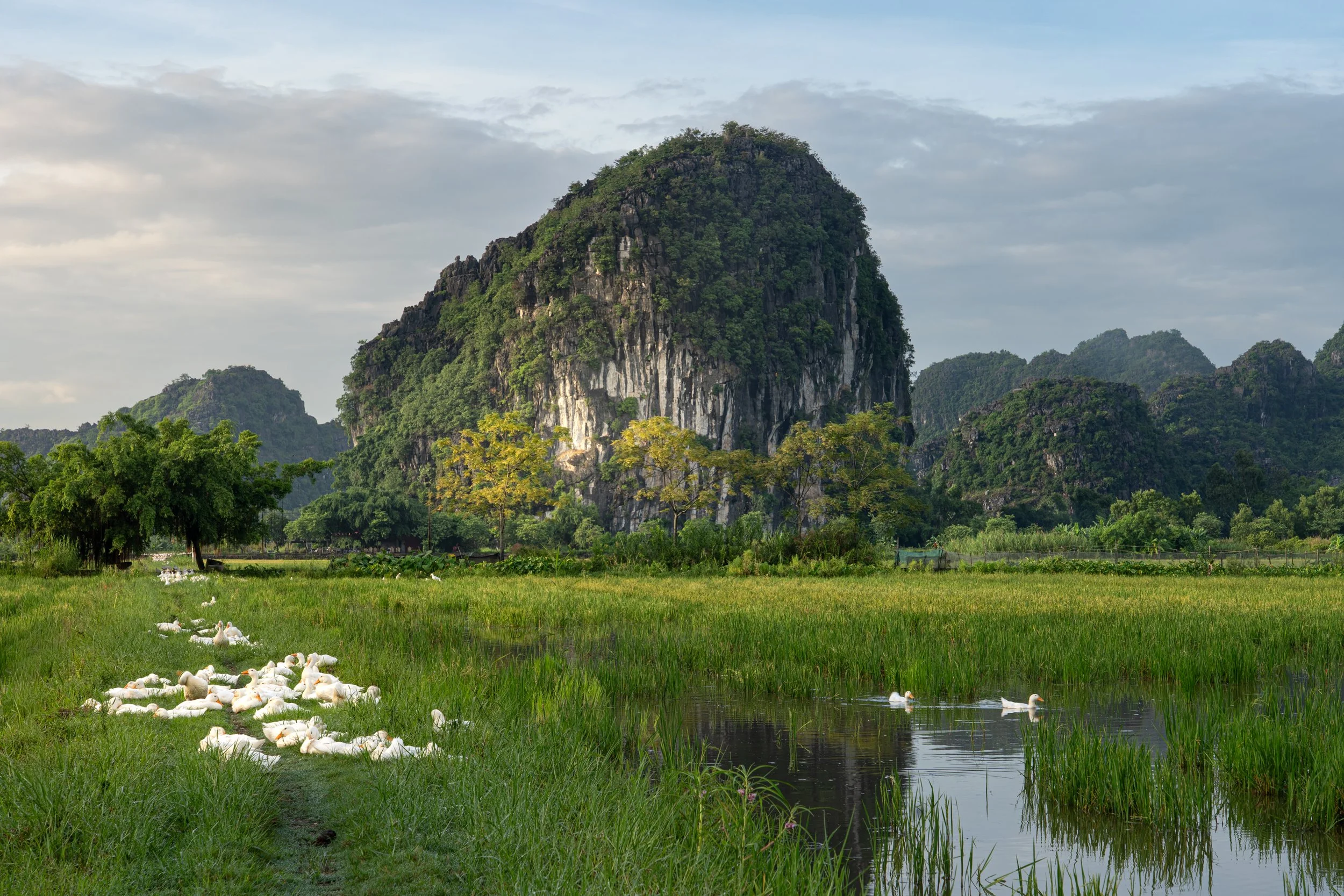 NinhBinh20260708-14-A7C01420-HDR.jpg