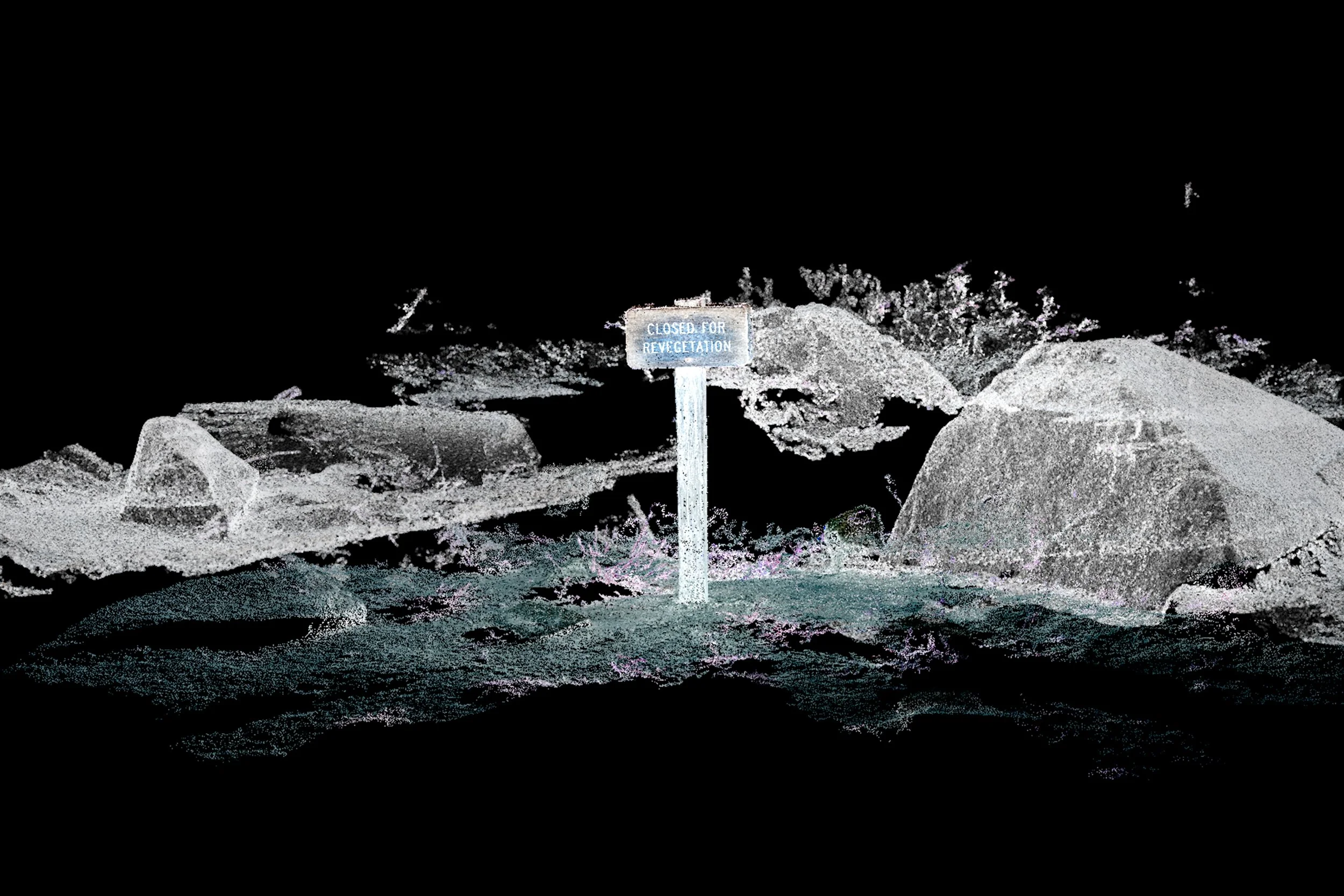 Revegetation cloud.jpg