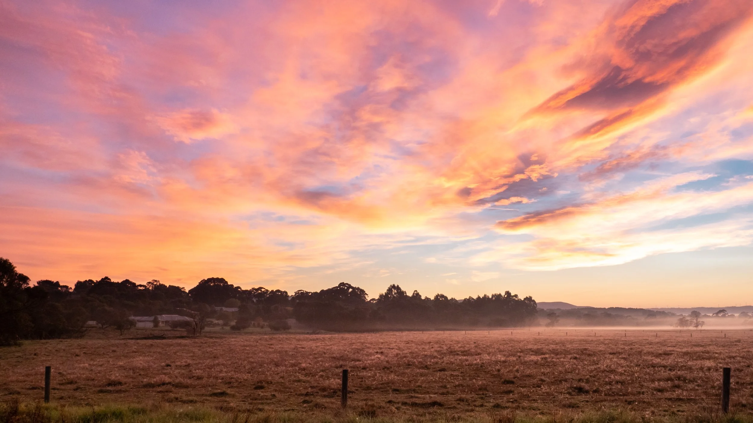 A sunrise over an open field with distant trees and a pink, orange, and purple sky with clouds.
