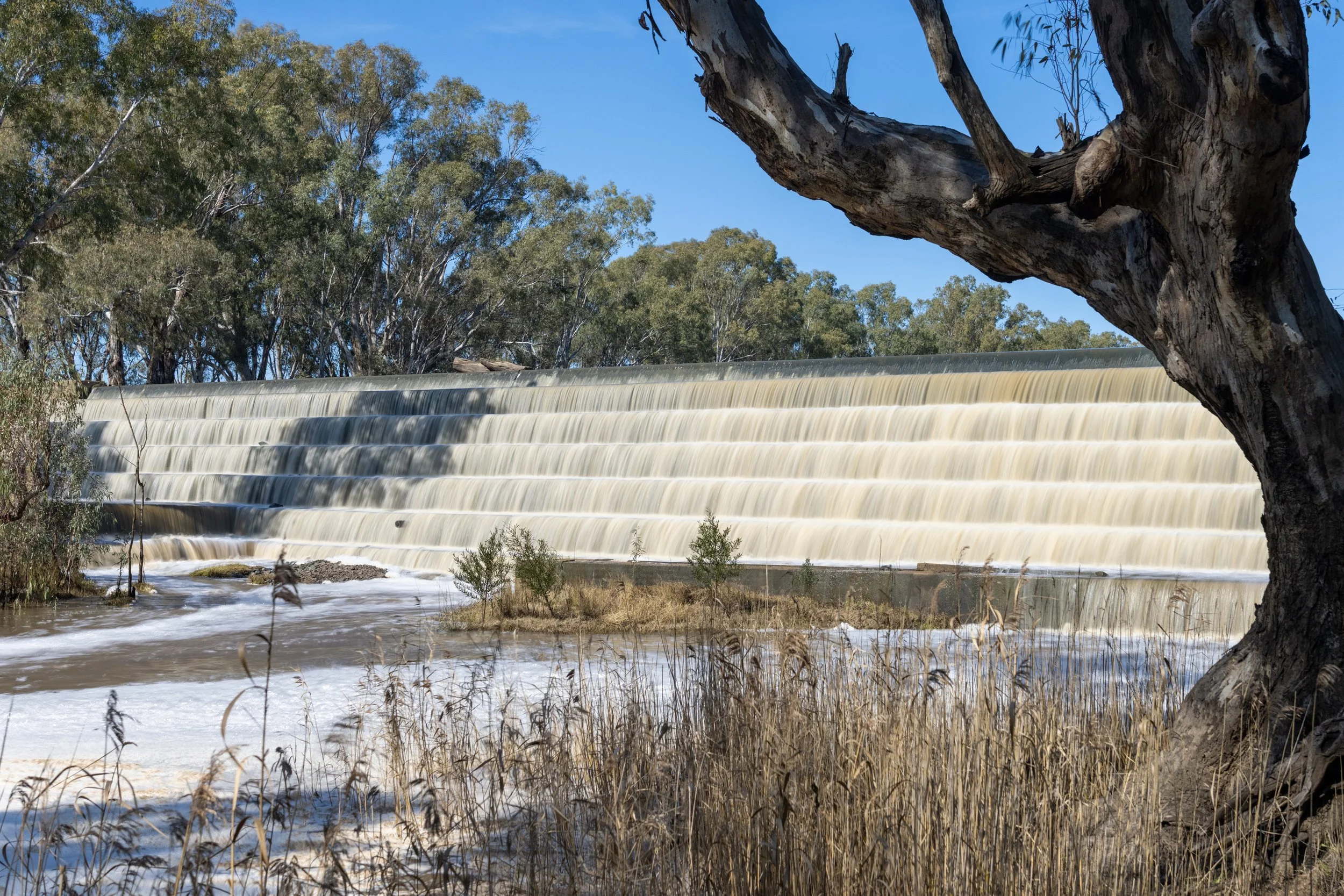 Echuca20260816-44-DSC07380.jpg