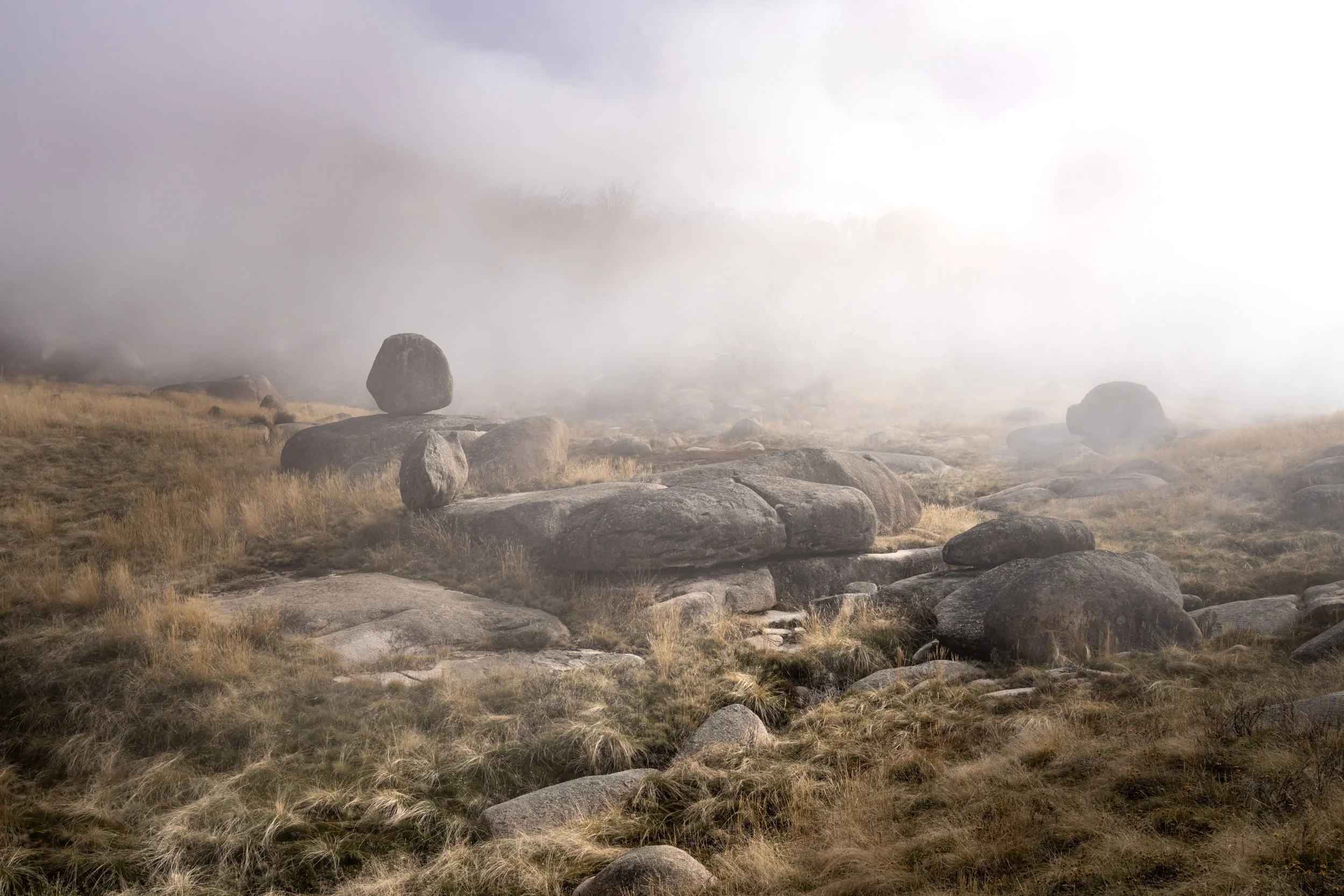 Mt Buffalo Plain20220529-DSC05716.jpg