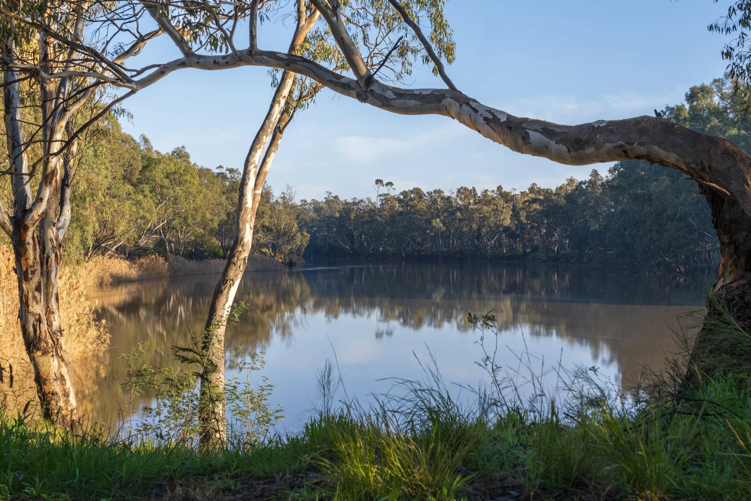 Echuca20260816-35-DSC07285.jpg