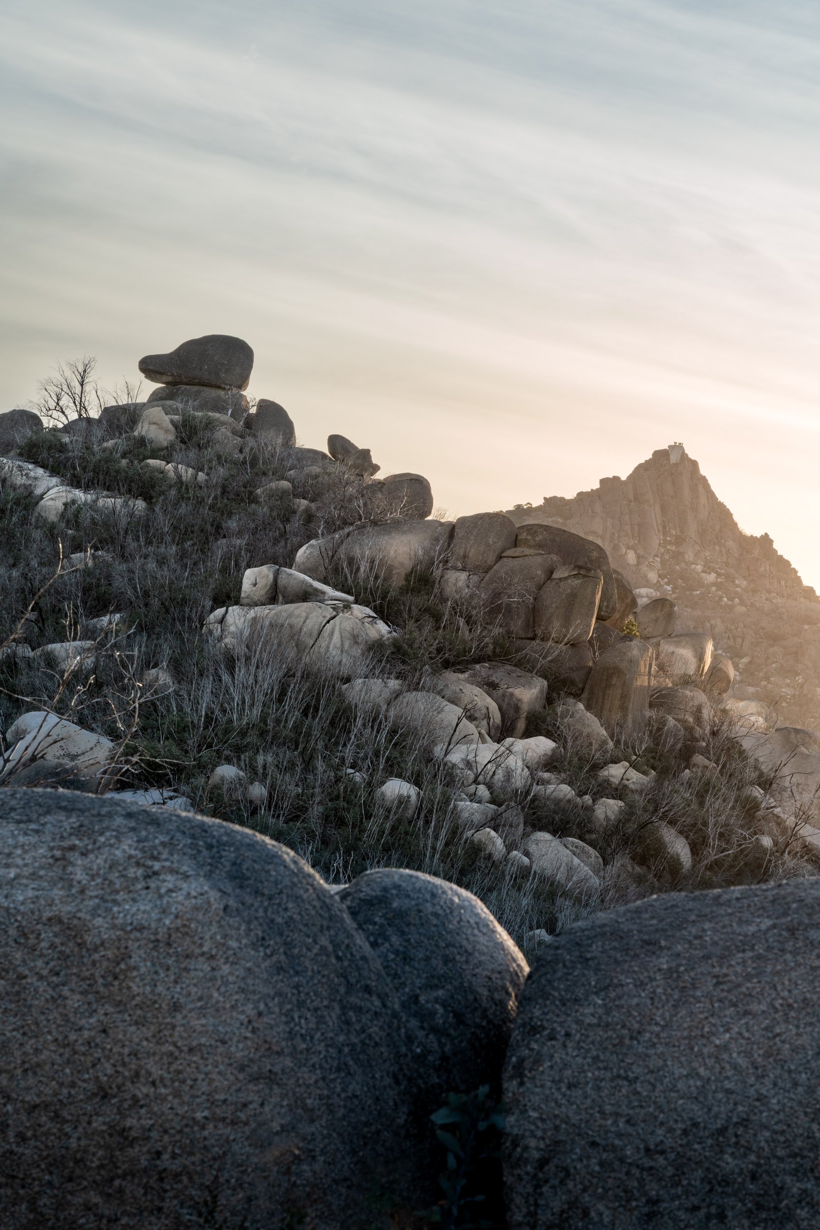 Buffalo Plain20240127-DSC07040.jpg