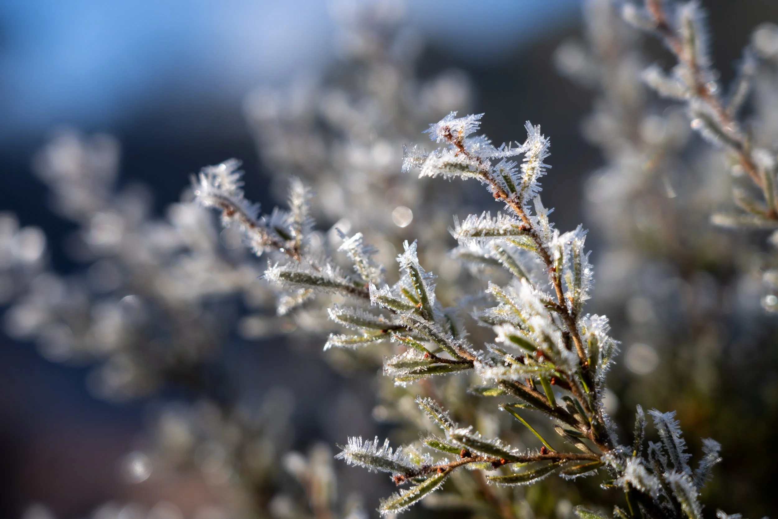 Lake Catani20220529-DSC05703.jpg