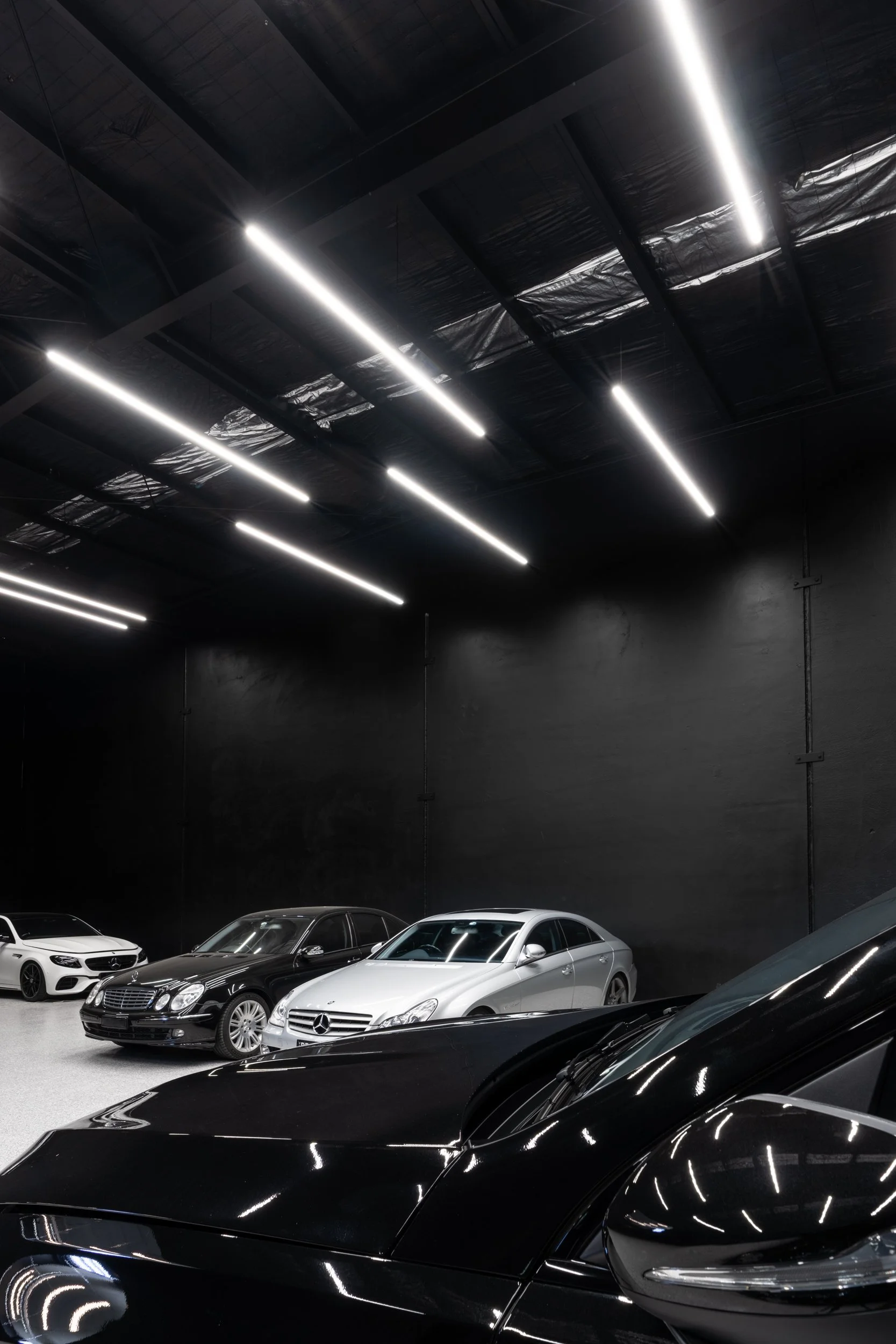 Auto Warehouse for Canopy Fitouts