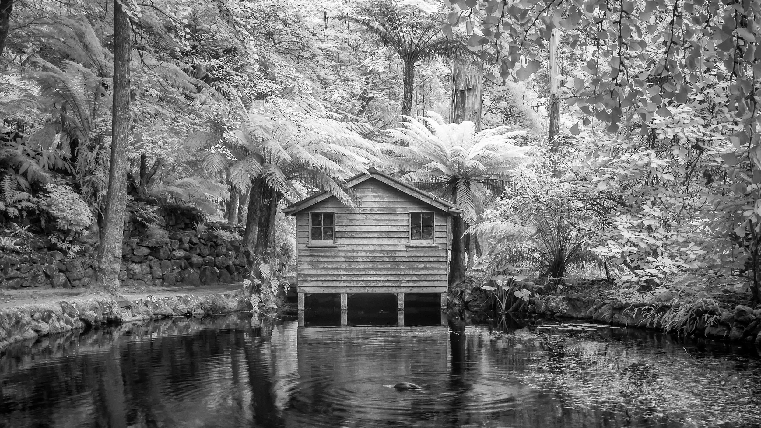 A black and white photo of a small wooden house on stilts beside a calm body of water, surrounded by dense forest with tall trees and lush foliage.