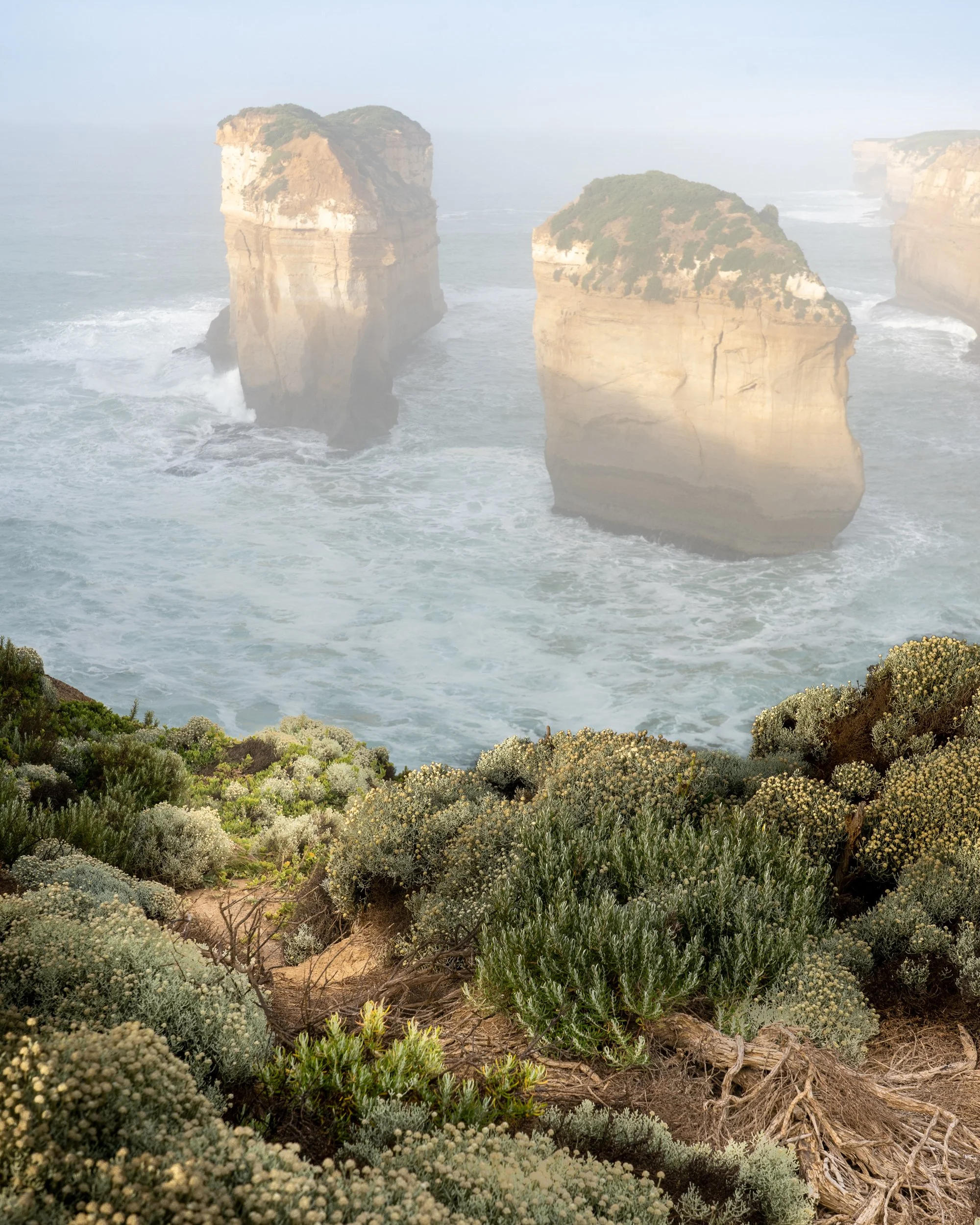 Cliffs and large sea stacks rising from ocean waves, with coastal vegetation in the foreground.