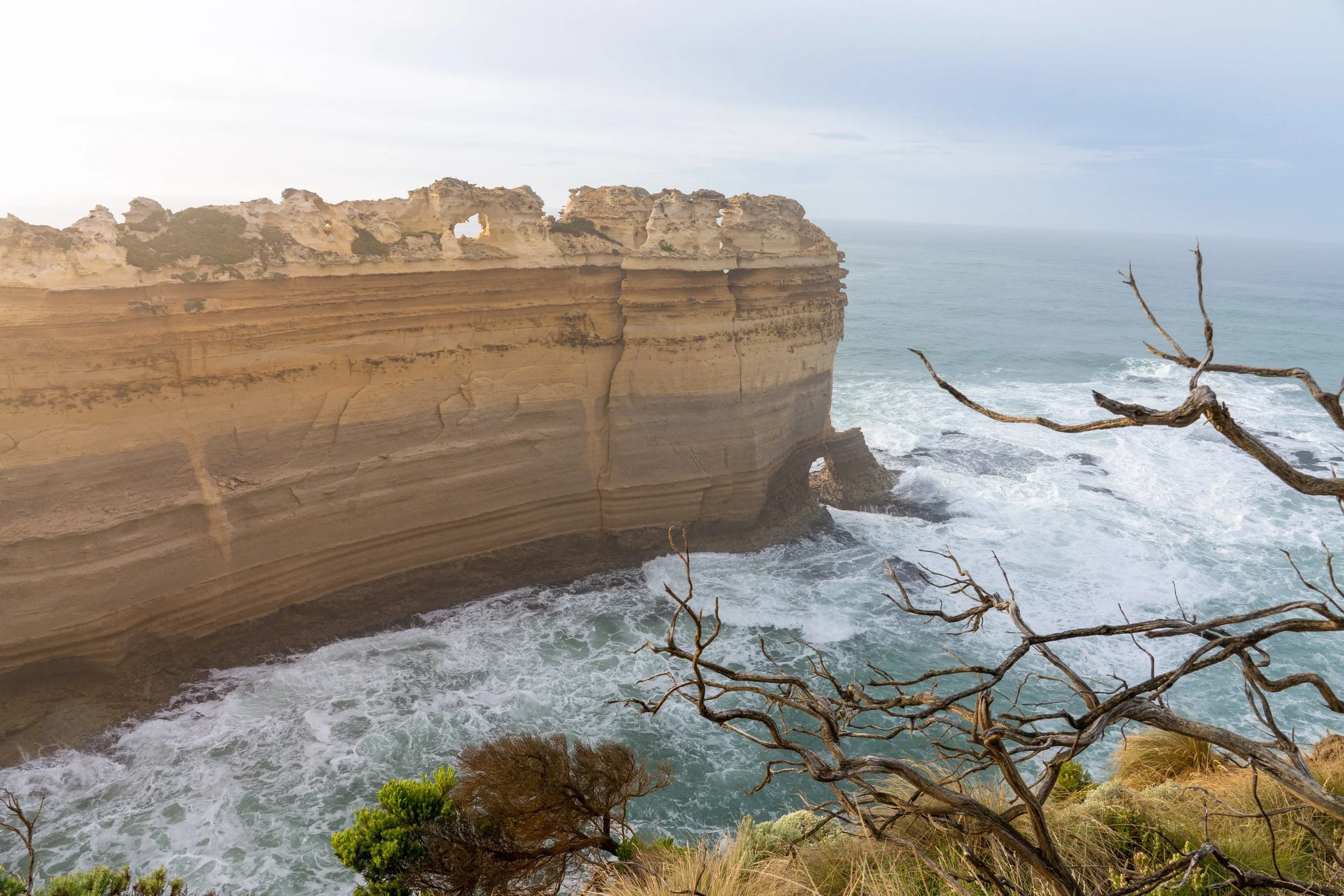 Cliffside with layered rock formations along the ocean, surrounded by turbulent waves and sparse, twisted trees in the foreground.