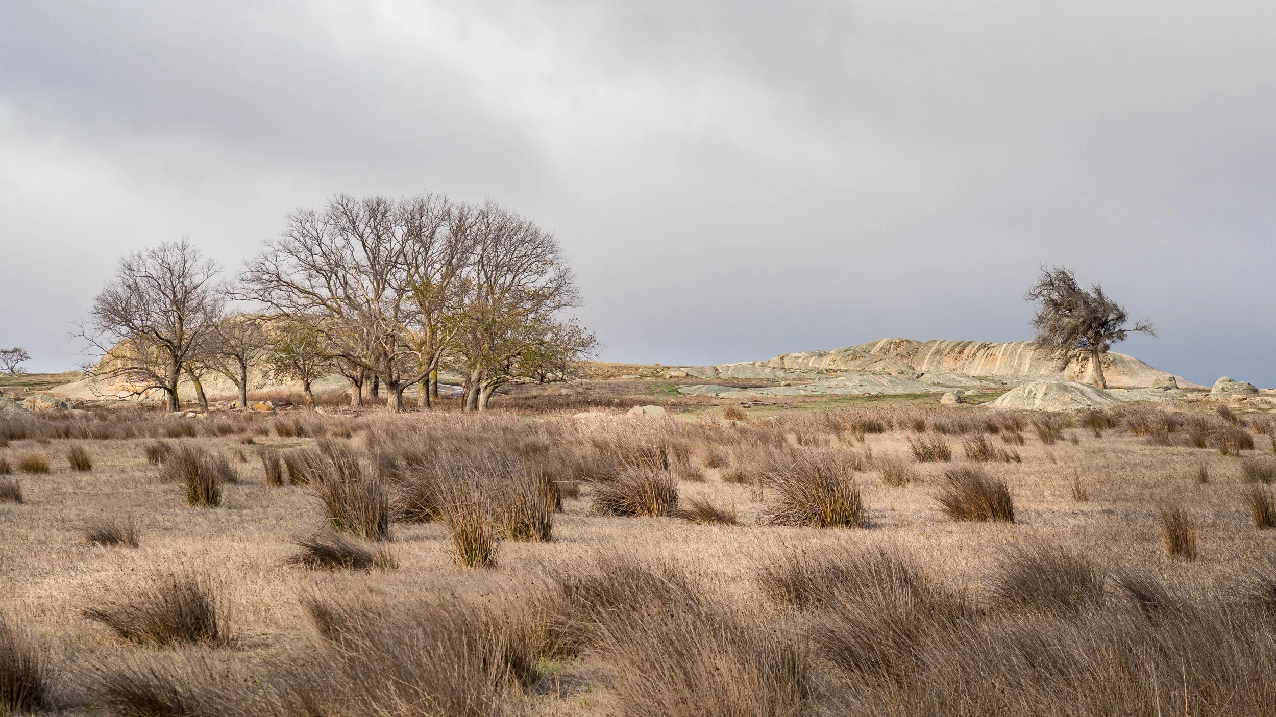 A landscape featuring dry grass, leafless trees, and rocky hills under a cloudy sky.