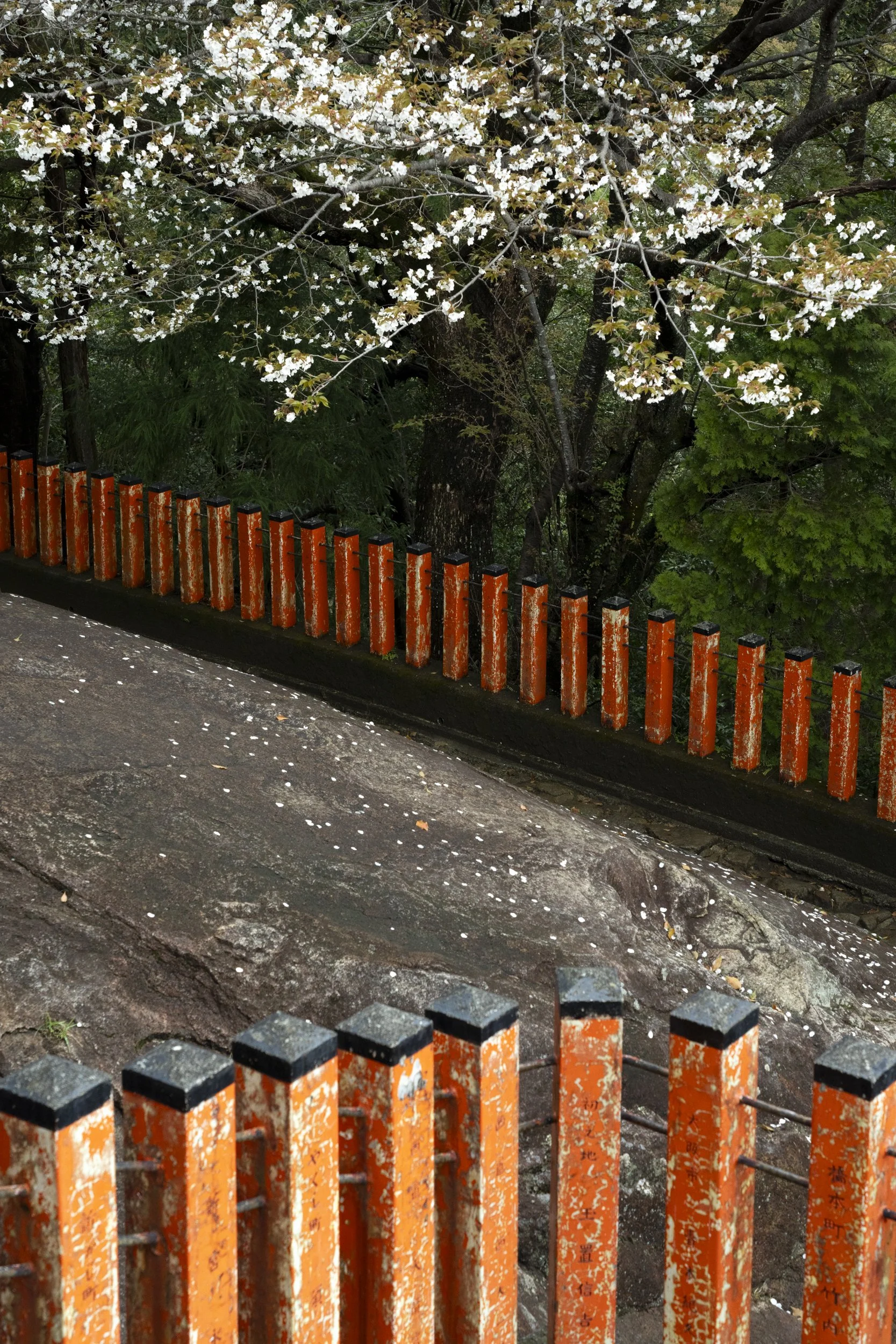 Kumano Kodo Kaatsura-DSC04958.jpg