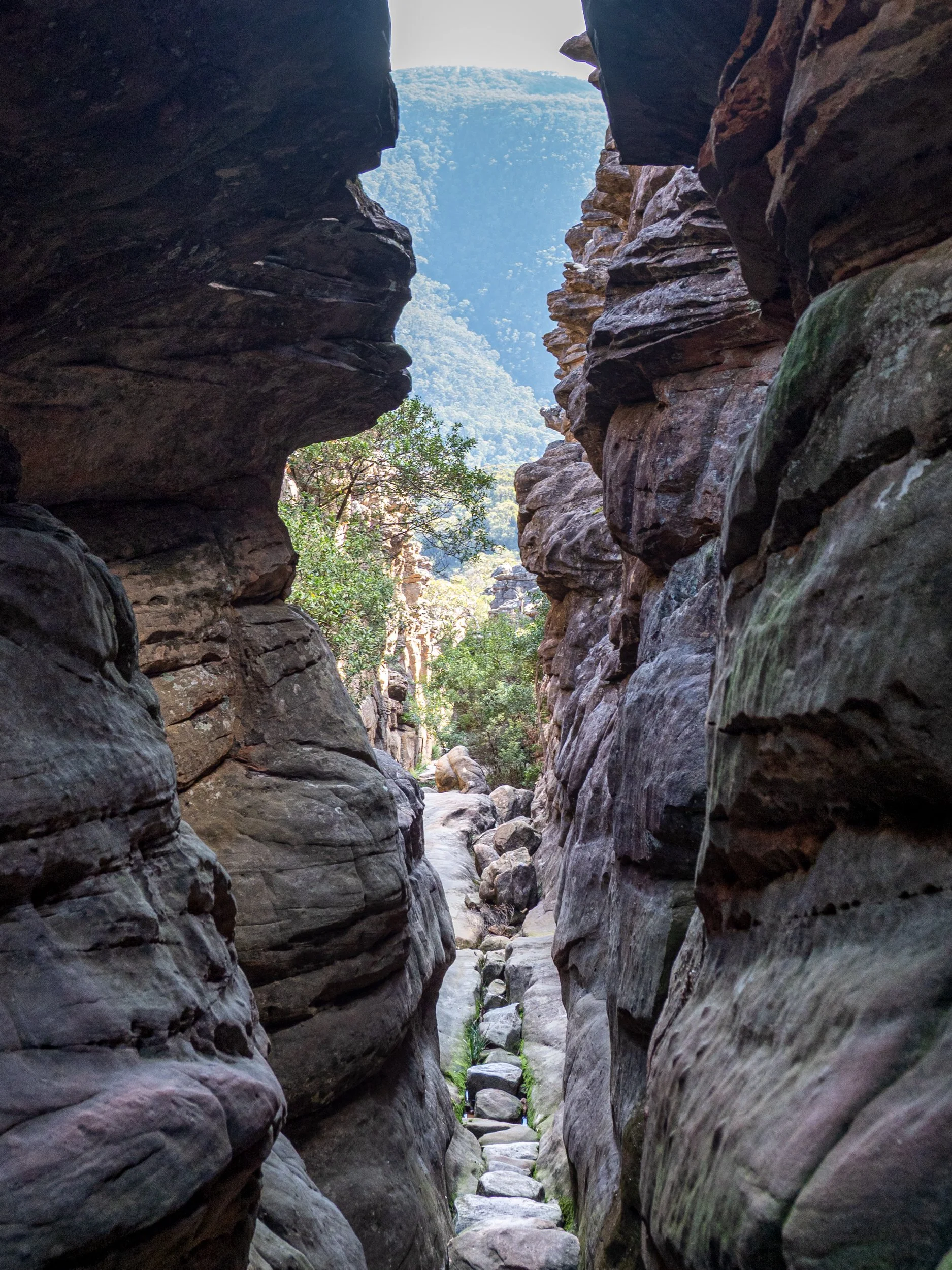 Narrow rocky canyon with large rock walls, a stone path, trees, and distant mountains