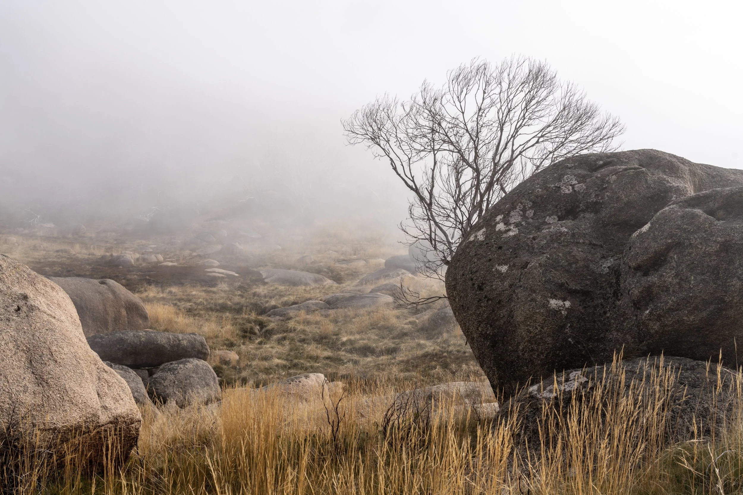 Mt Buffalo Plain20220529-DSC05715.jpg