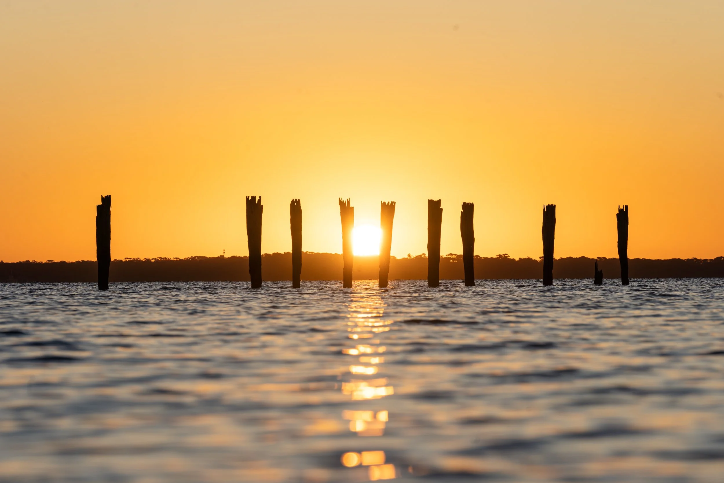 French Island20221217-A7C03157.jpg