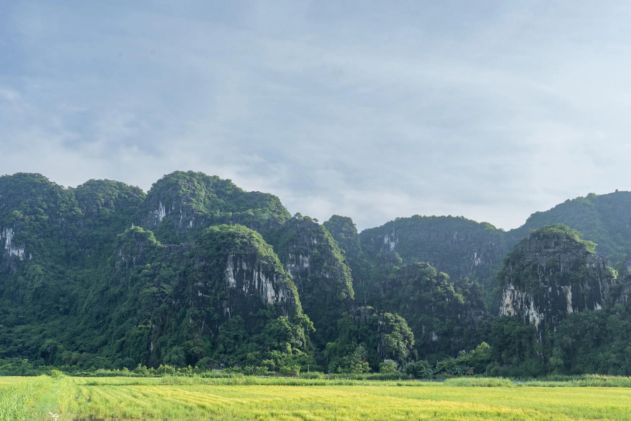 NinhBinh20260708-18-A7C01471.jpg