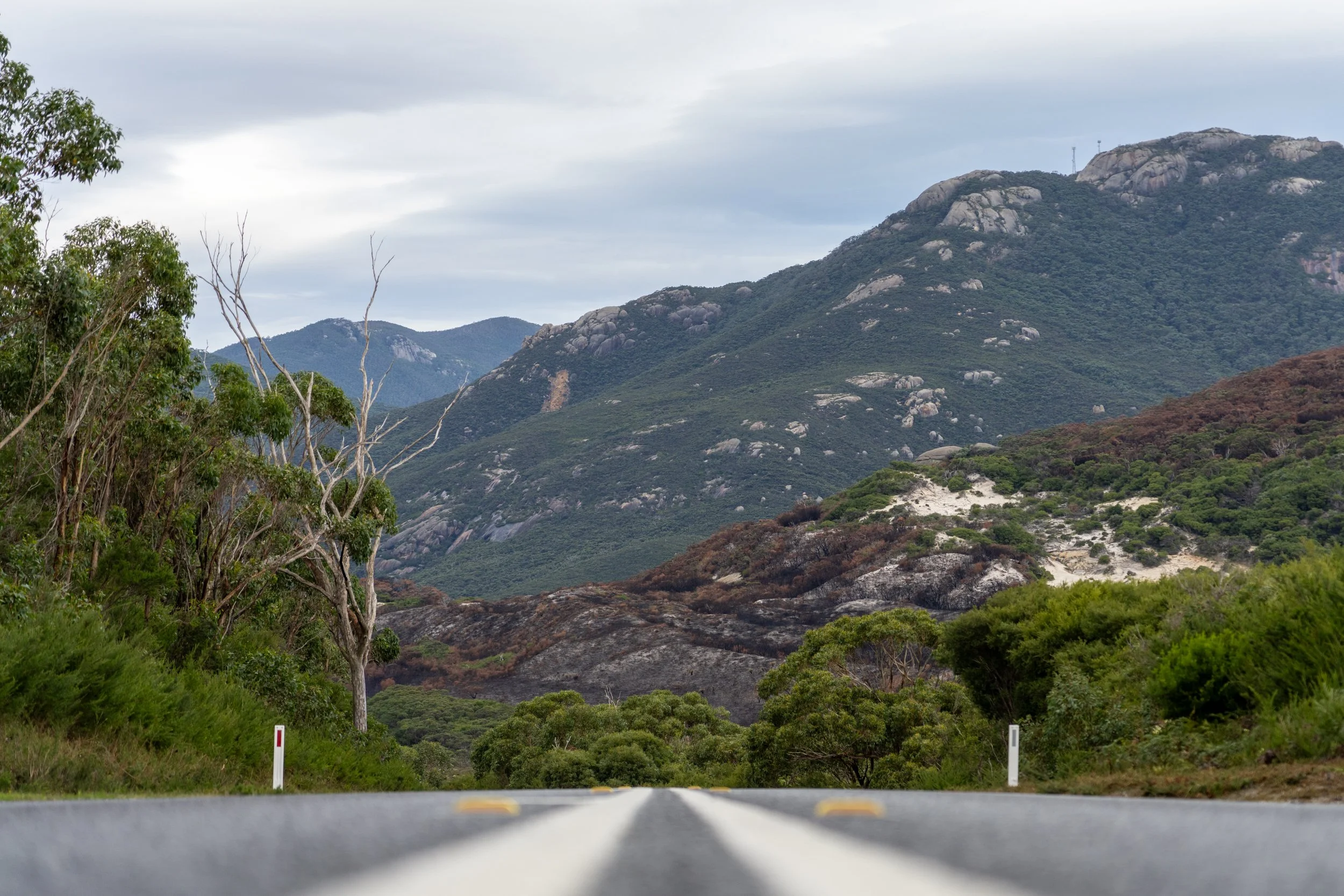 -view of a mountainous landscape with green trees and rocky hills, seen from a two-lane road under a cloudy sky.