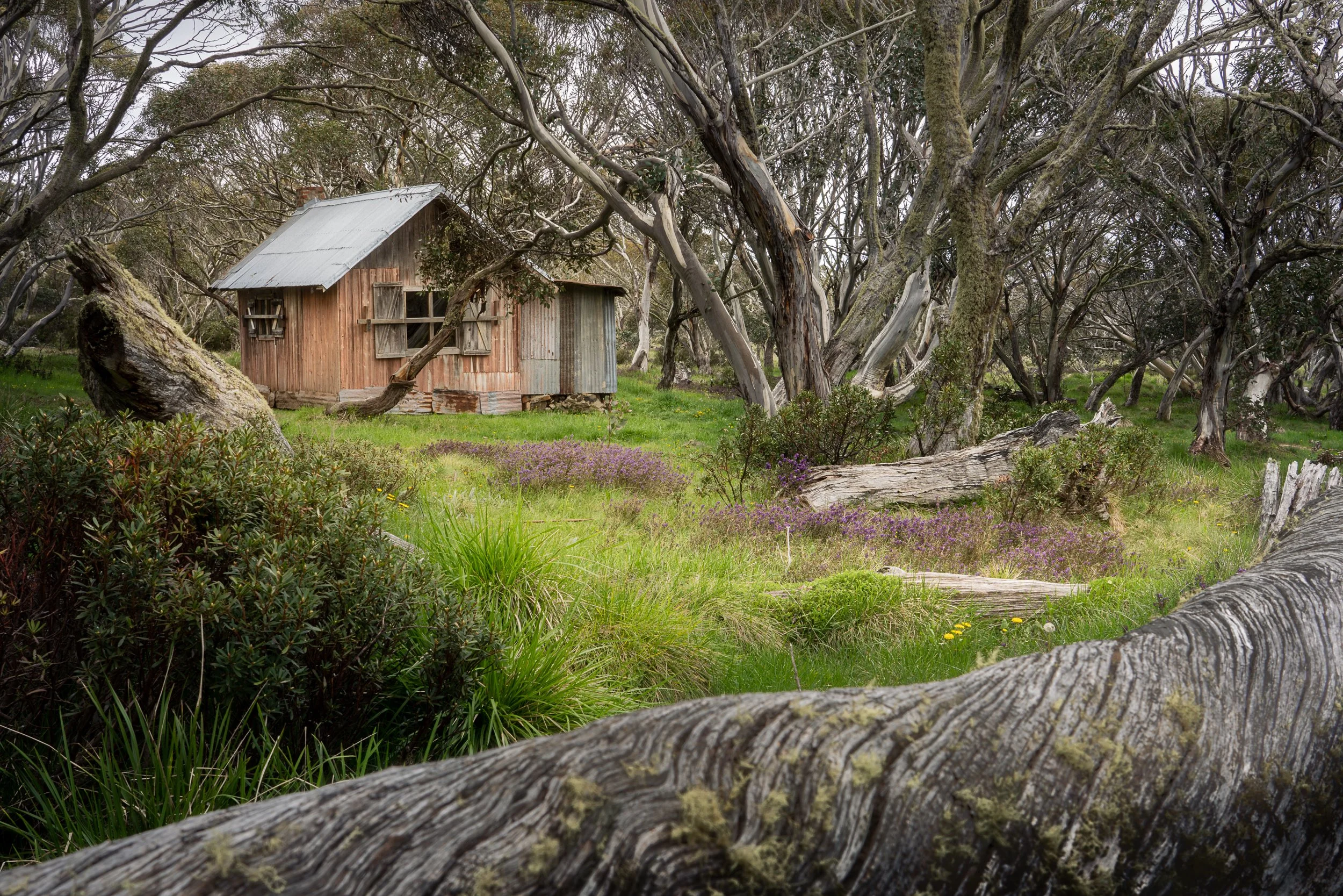 Dinner Plane20201114-DSC07810-Edit.jpg