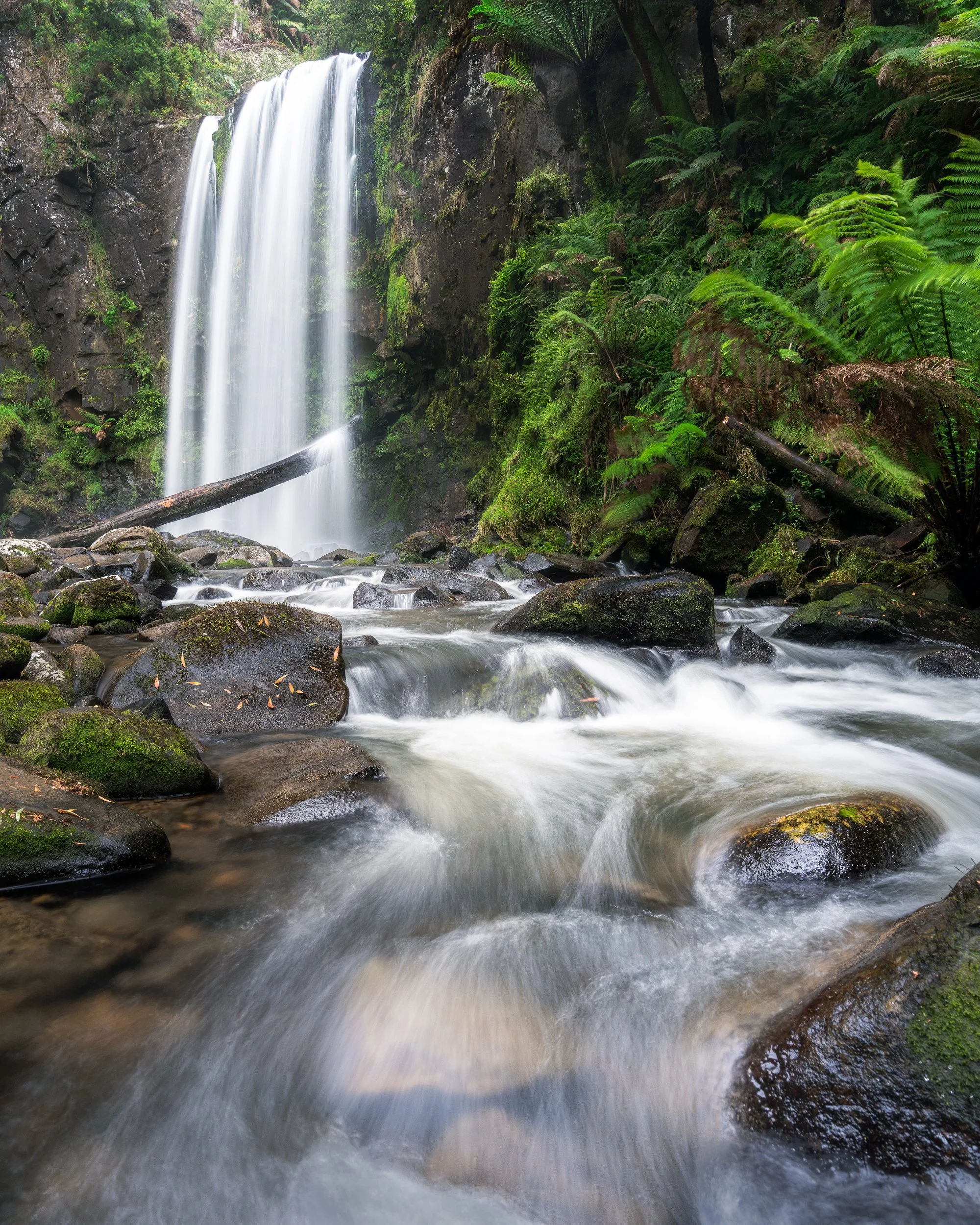 A waterfall flowing over rocks into a stream surrounded by lush green plants and moss-covered stones in a forest.