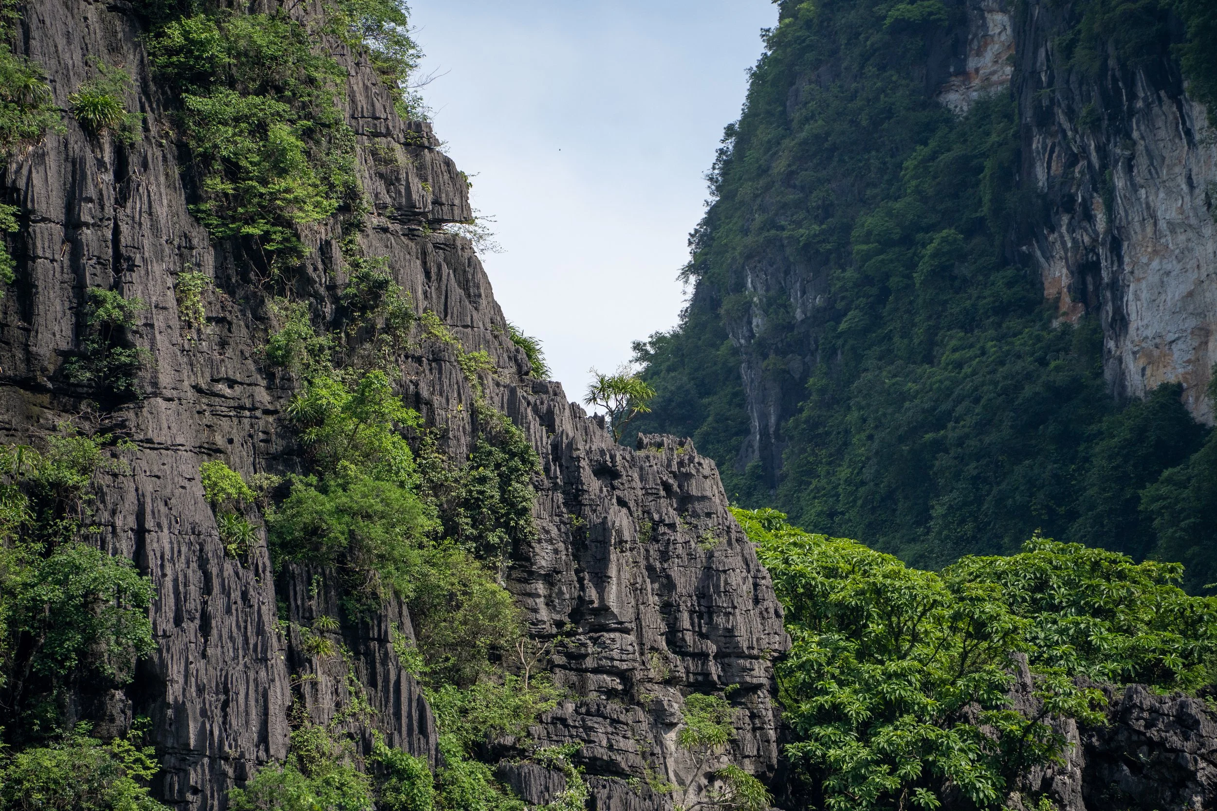 NinhBinh20260708-28-A7C01565.jpg