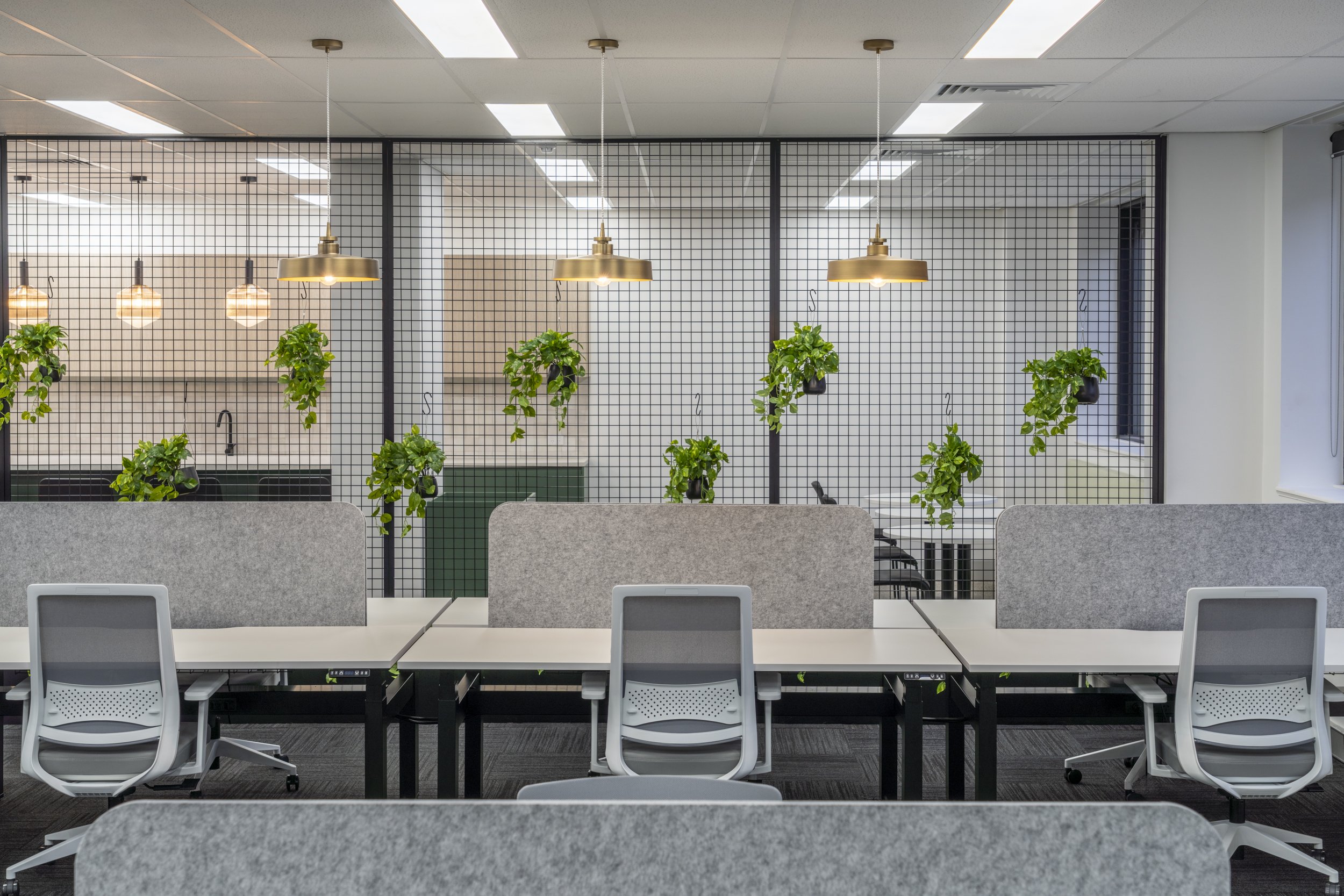 Office Fitout for Canopy Fitouts