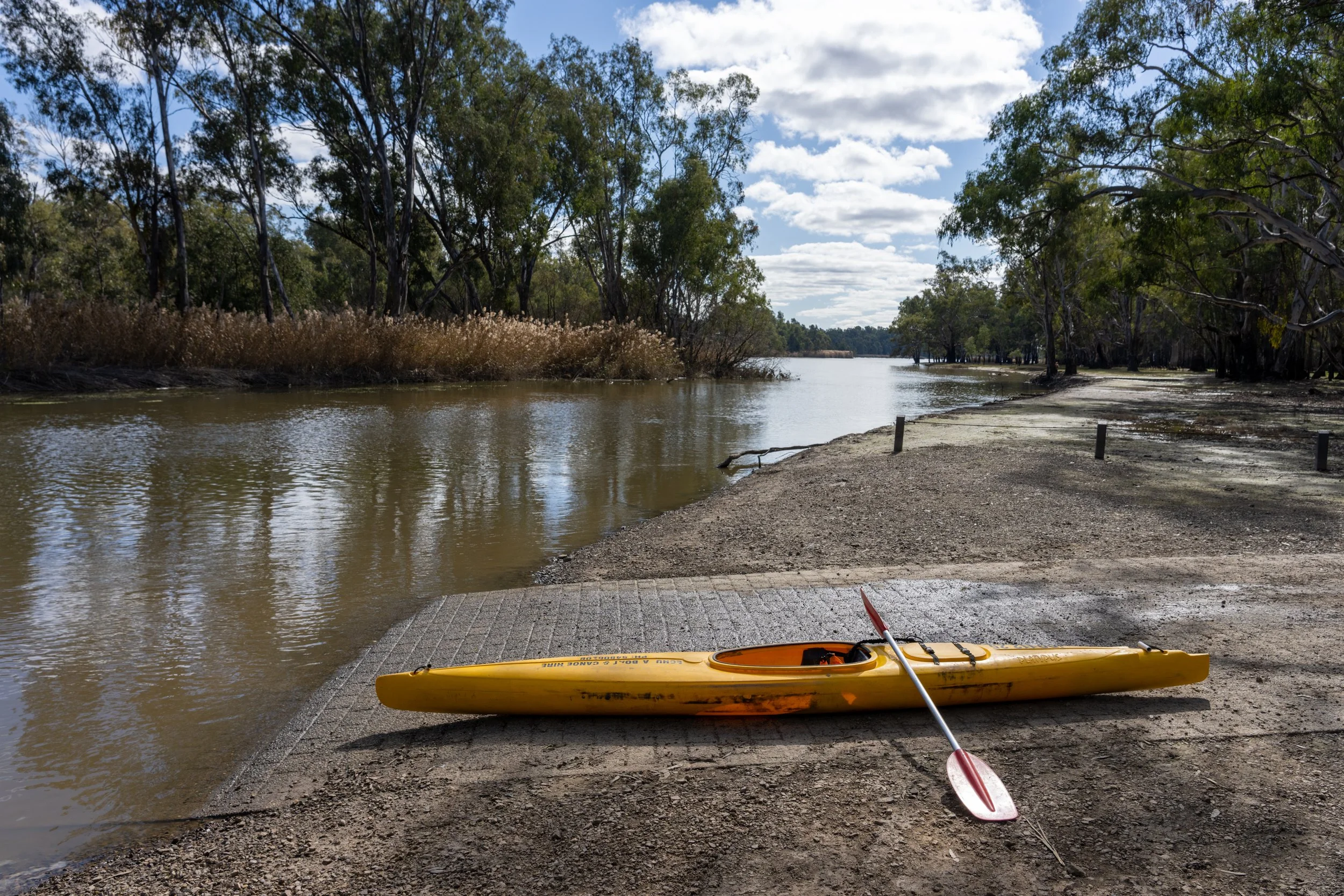 Lake Barmah and adjoining creeks