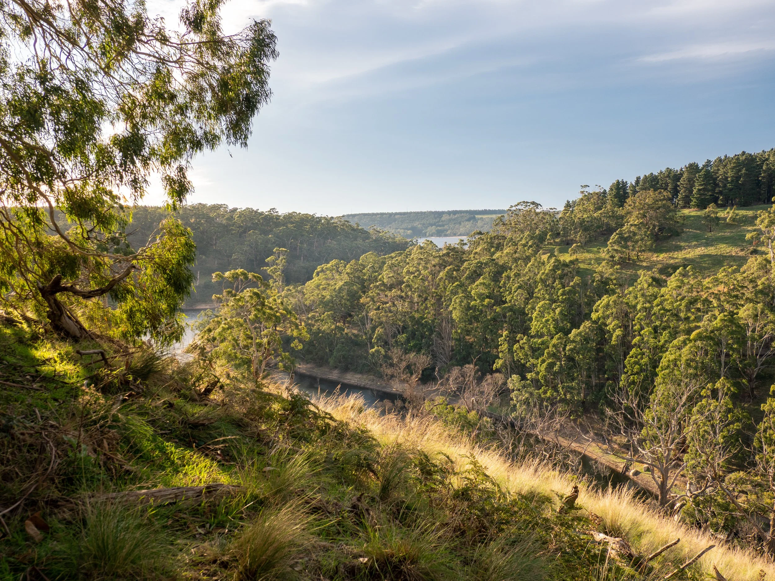 Scenic view of a lush, green valley with trees, rolling hills, and a body of water under a partly cloudy sky.