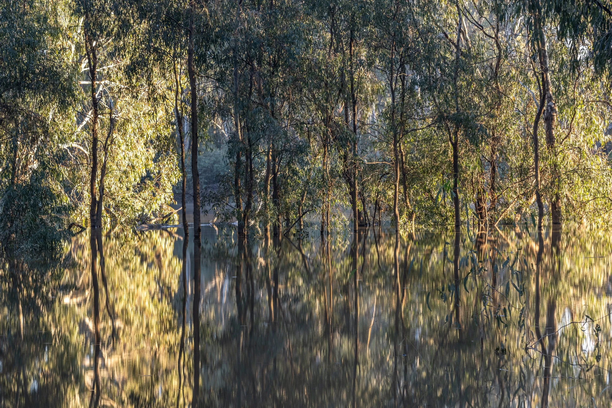Echuca20260815-5-DSC07039.jpg