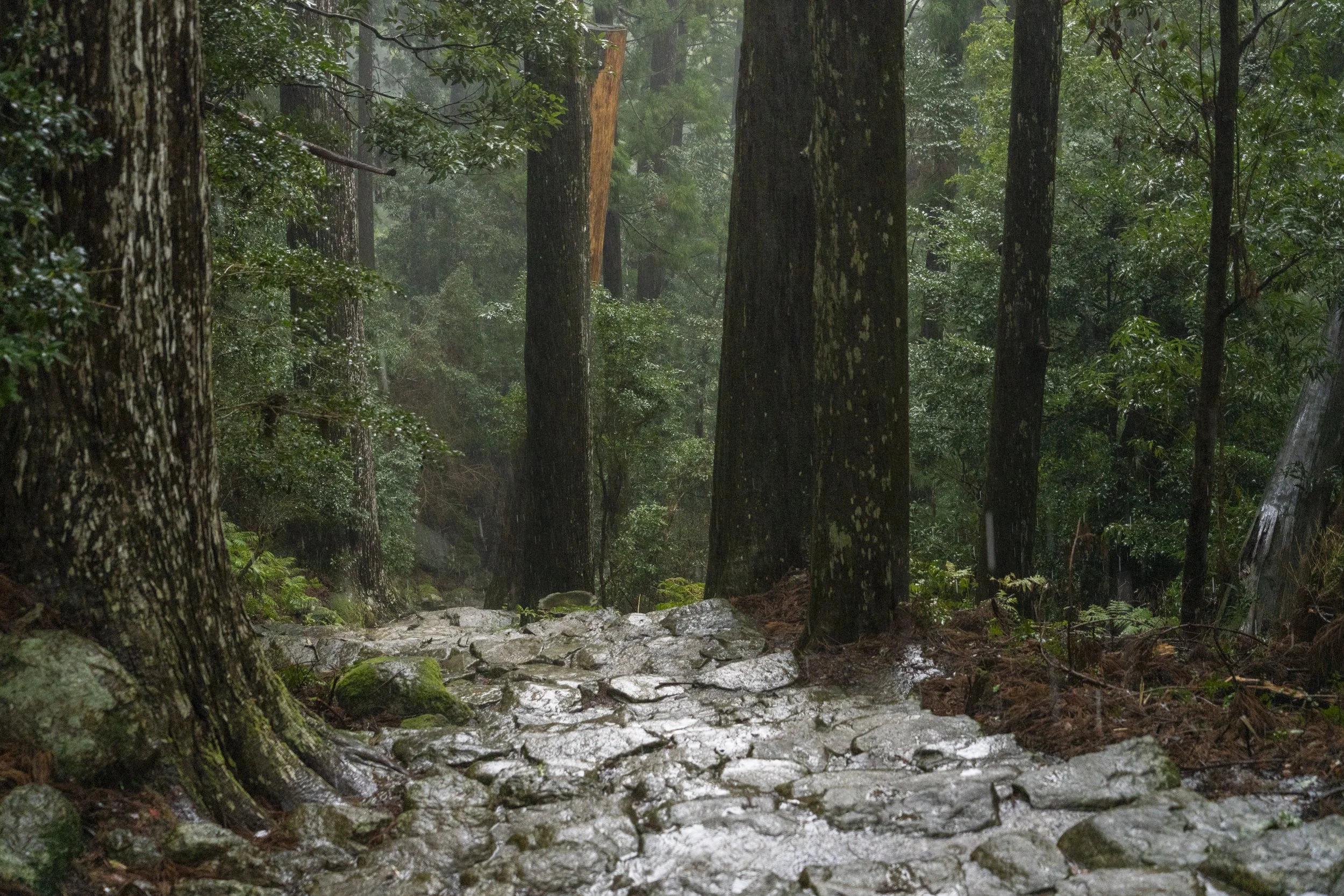 Kumano Kodo Nachi-DSC05023.jpg