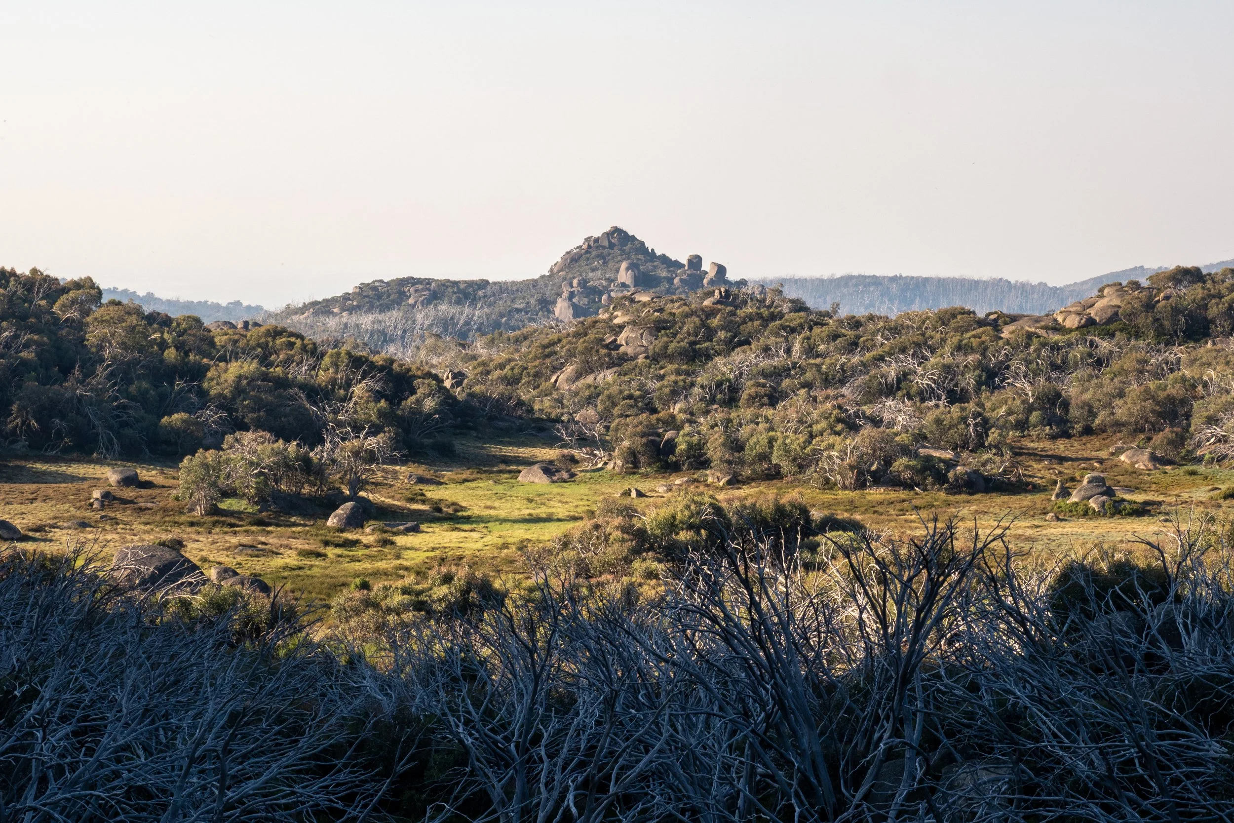Mt Buffalo20191226-OMD60113.jpg