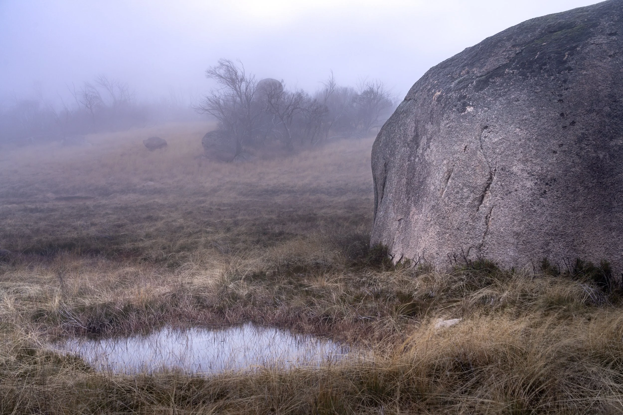 Mt Buffalo Plain20220530-DSC05790.jpg