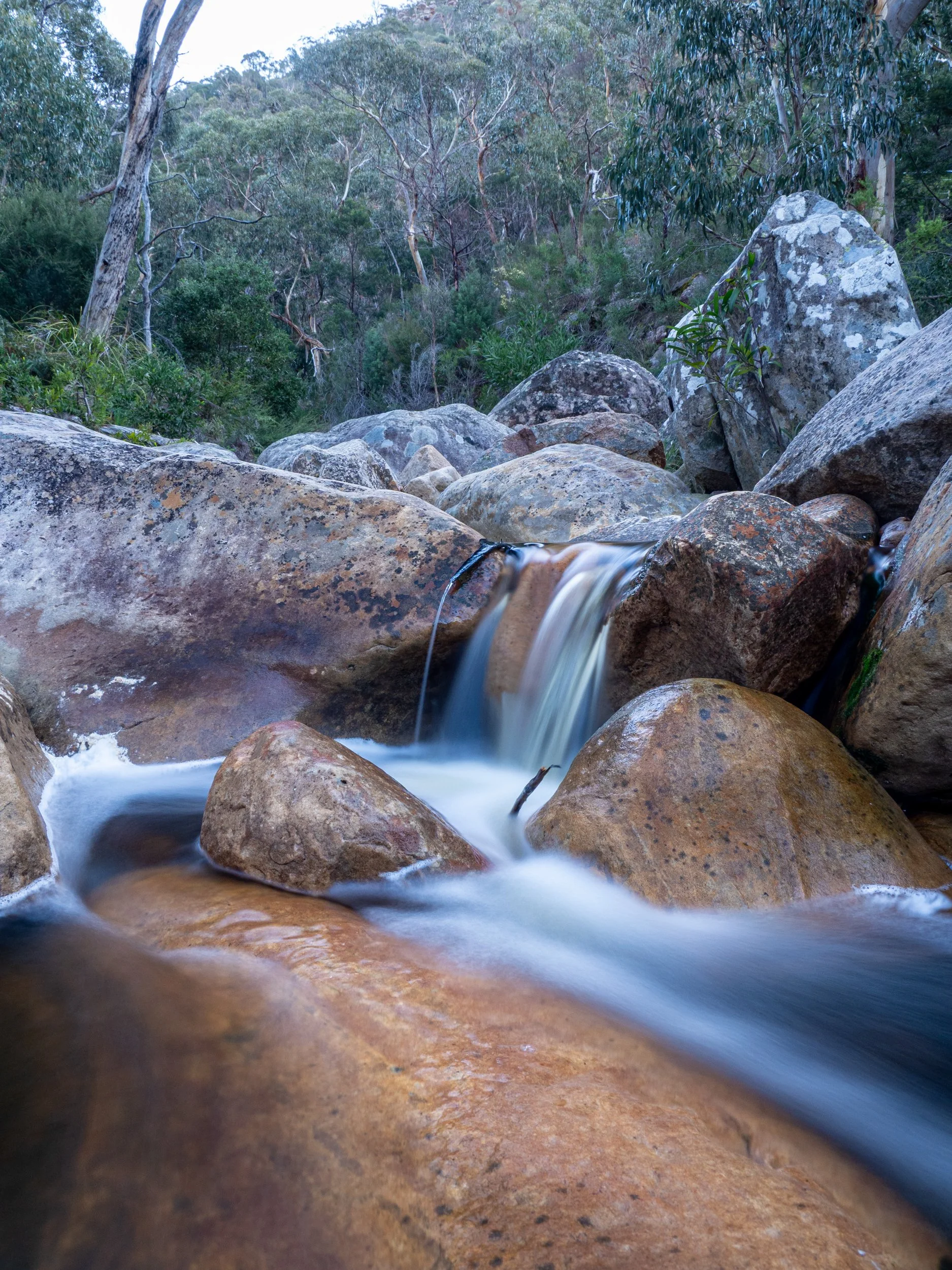 A small waterfall flowing over rocks in a forested area with trees and shrubs in the background.