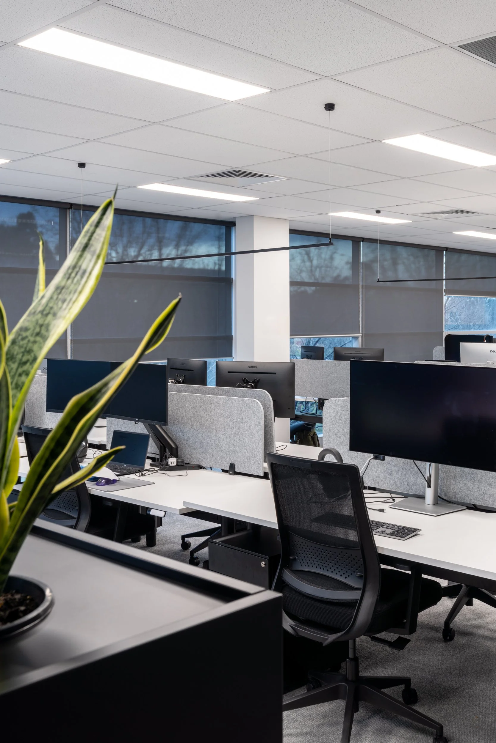 Office Fitout for Canopy Fitouts