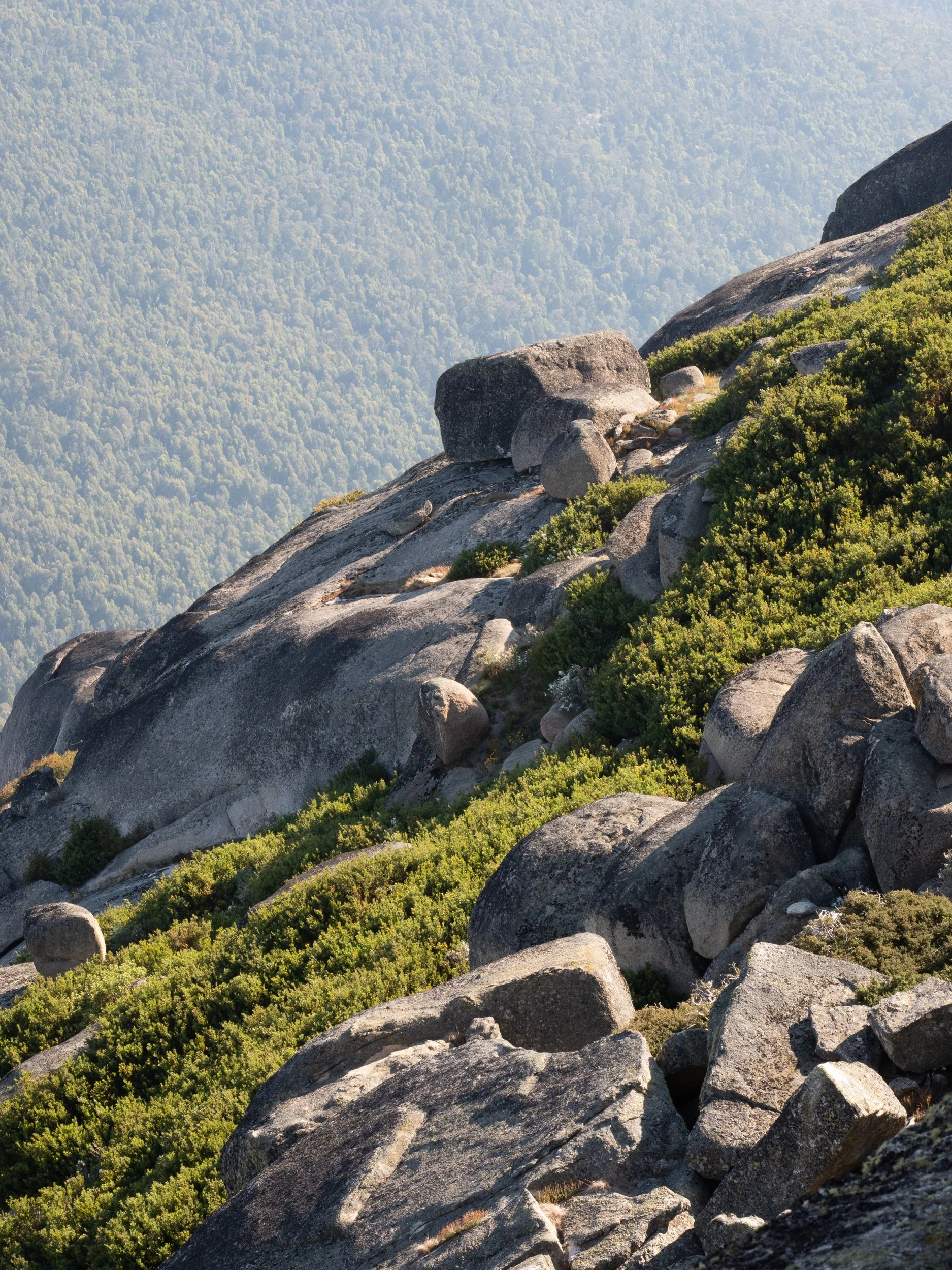 The Horn20191226-OMD60083.jpg