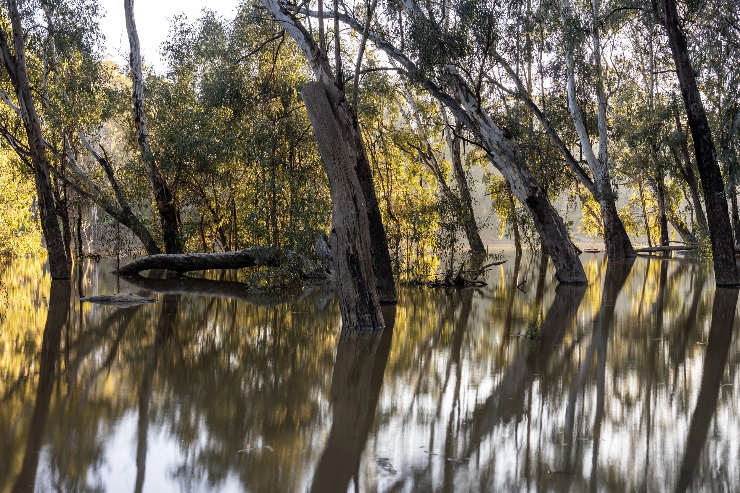 Echuca20260815-6-DSC07046.jpg