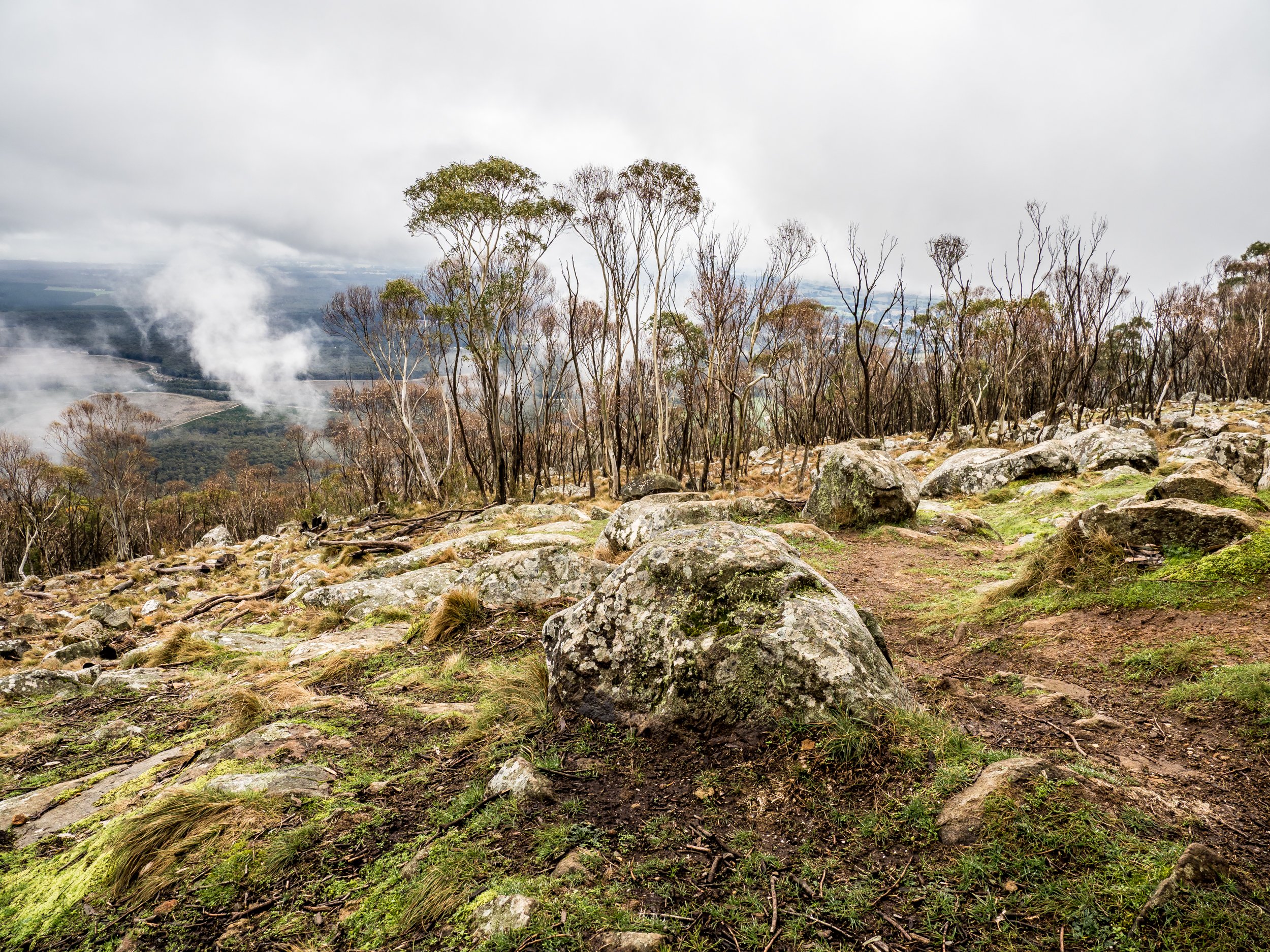A rocky hiking trail through a sparse forest on a mountain, cloudy sky overhead, with patches of green moss and grass among rocks, and steam or smoke rising in the distance.