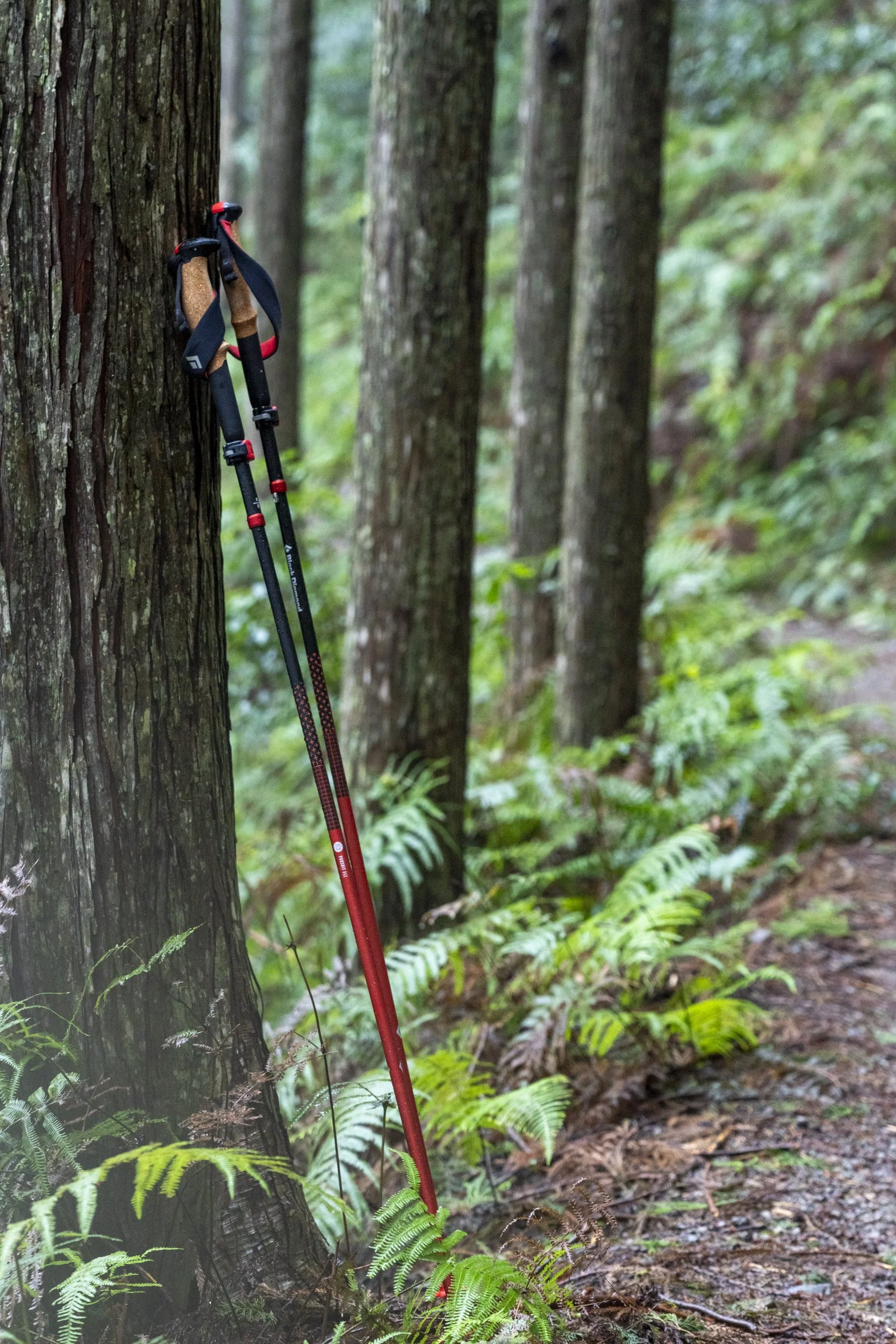 Kumano Kodo Kawayu to Yuminone-DSC04778.jpg