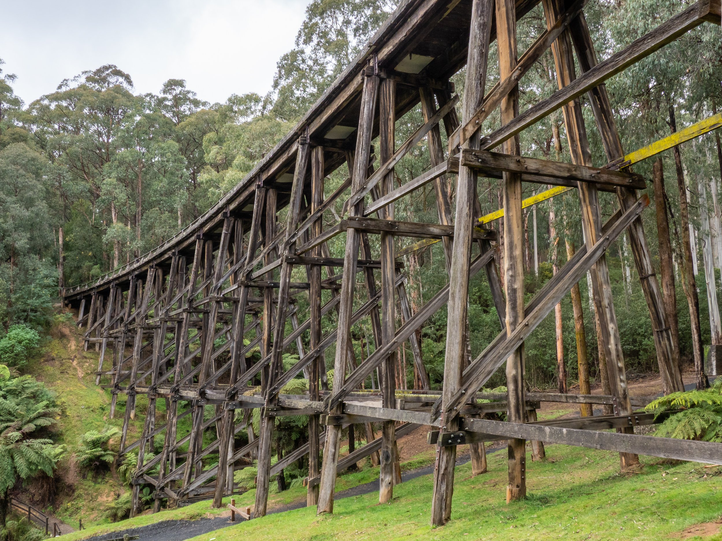 Old wooden trestle bridge crossing a green forest landscape.