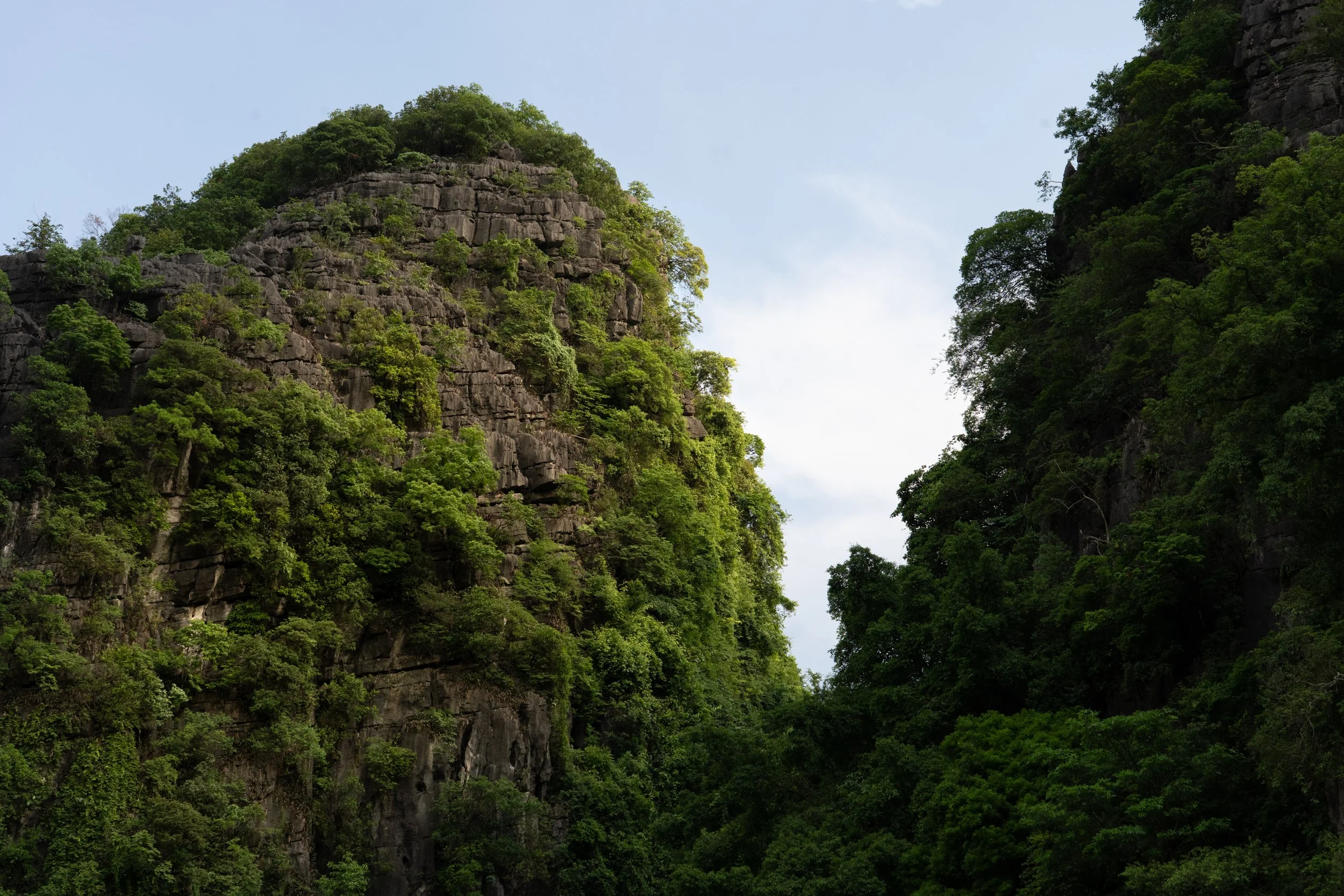 NinhBinh20260707-7-A7C01242.jpg