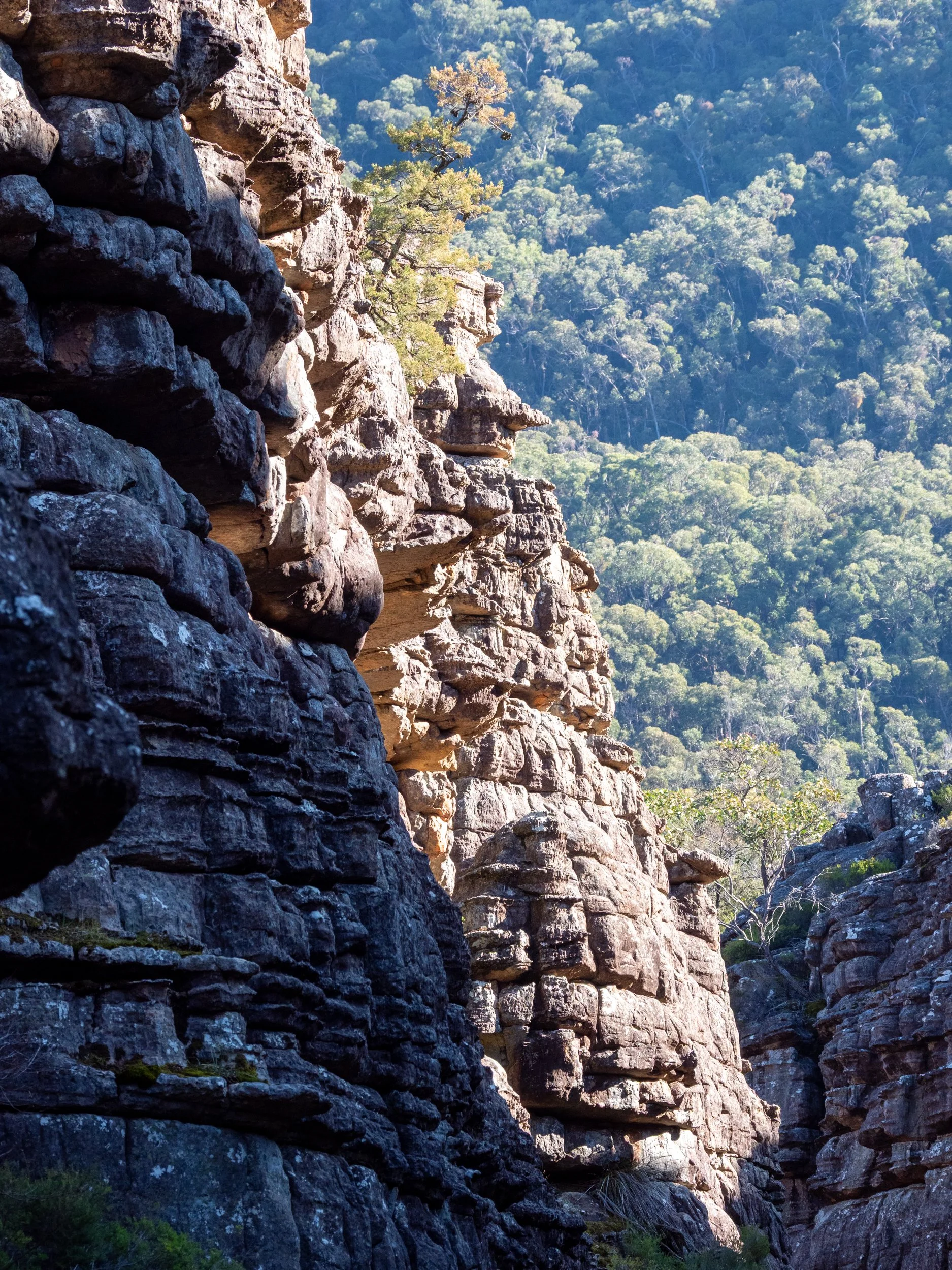 Rock formations in a canyon with trees and mountains in the background.