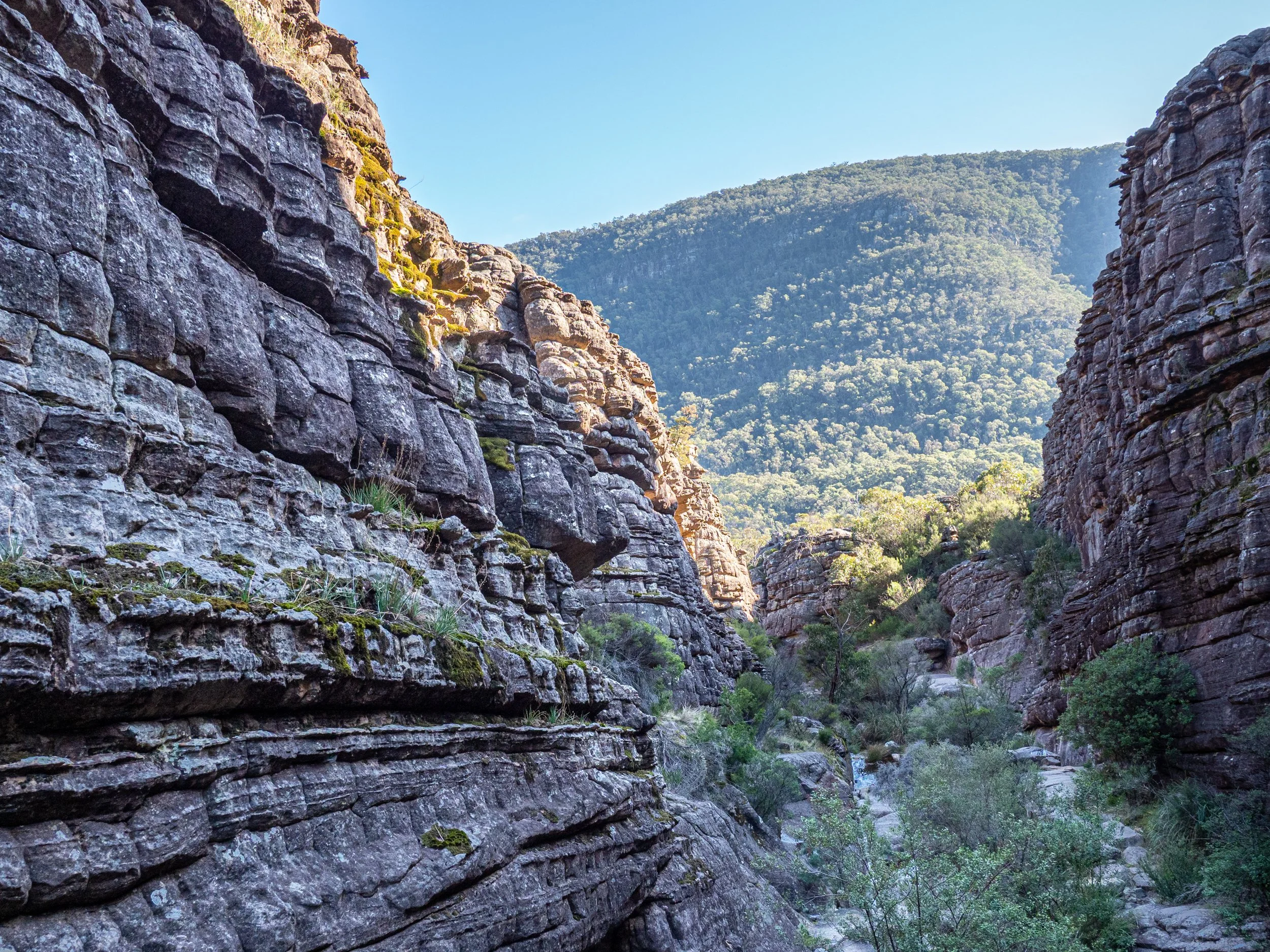 A deep canyon with steep rock walls on either side, sparse vegetation on the rock faces, and green trees and bushes at the bottom, with a mountain in the background under a clear blue sky.