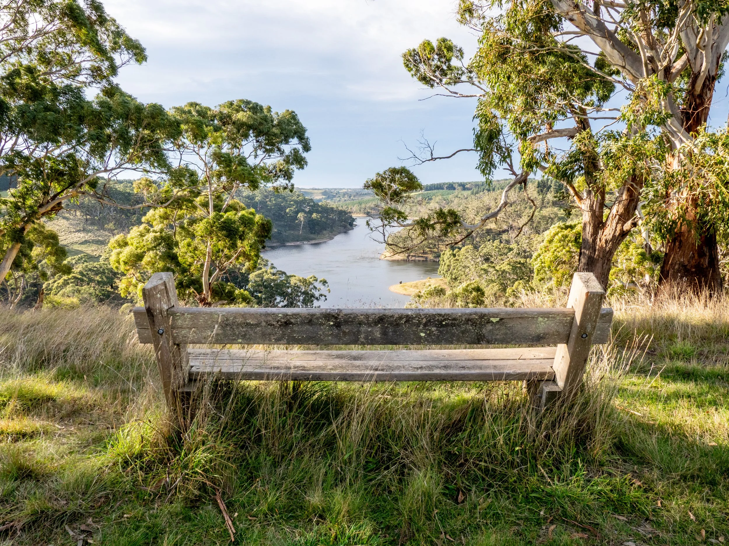 A wooden bench overlooking a river with green trees and hills in the background.