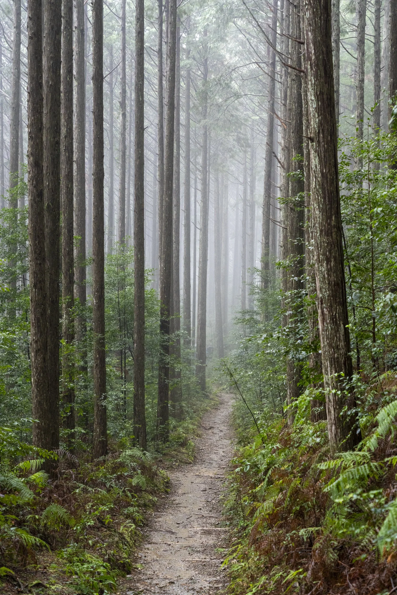Kumano Kodo Kawayu to Yuminone-DSC04780.jpg